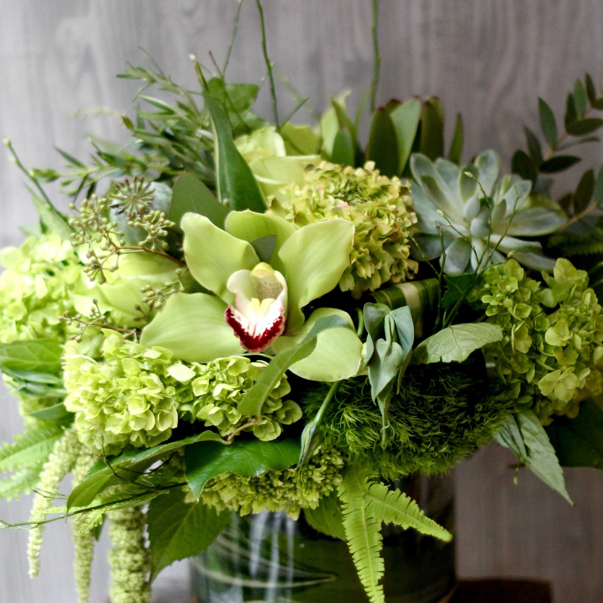 Green floral arrangement in a striped vase with orchids and hydrangeas