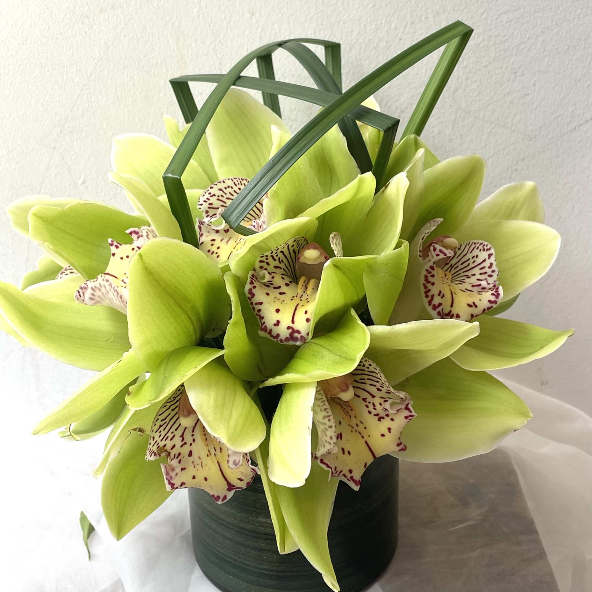 Lime green orchids arranged in a dark cylindrical vase