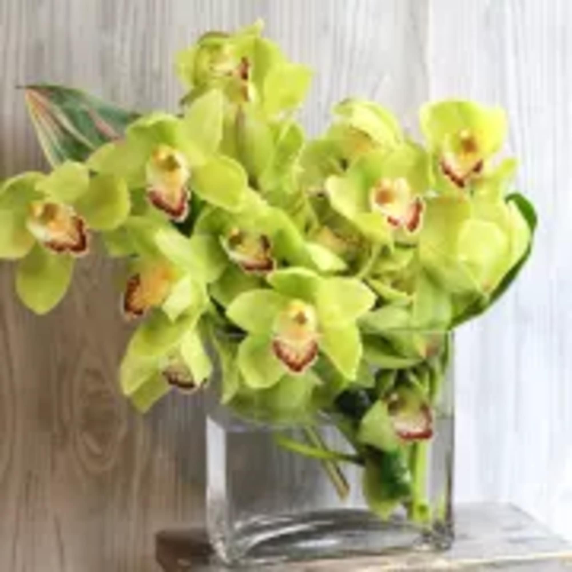 Green orchid bouquet in a clear glass vase