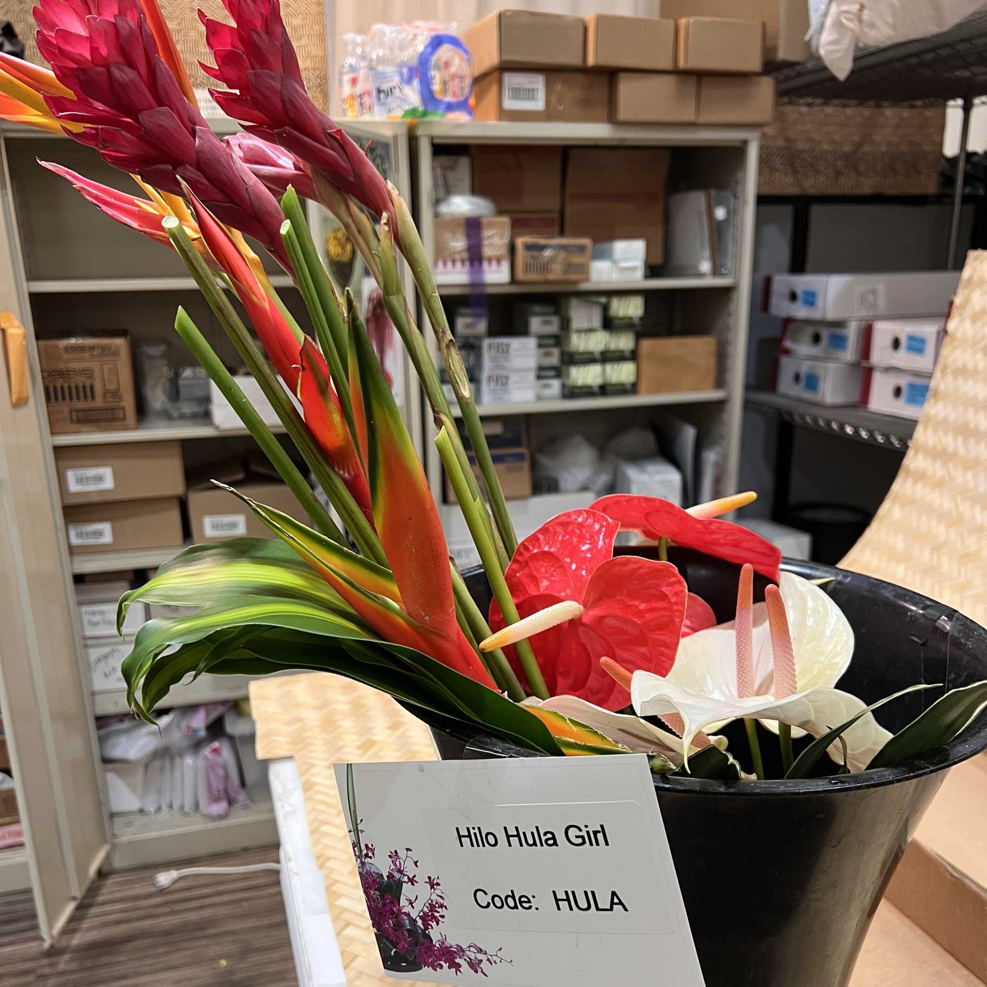 Tall tropical red and white flowers in a black container with a product label