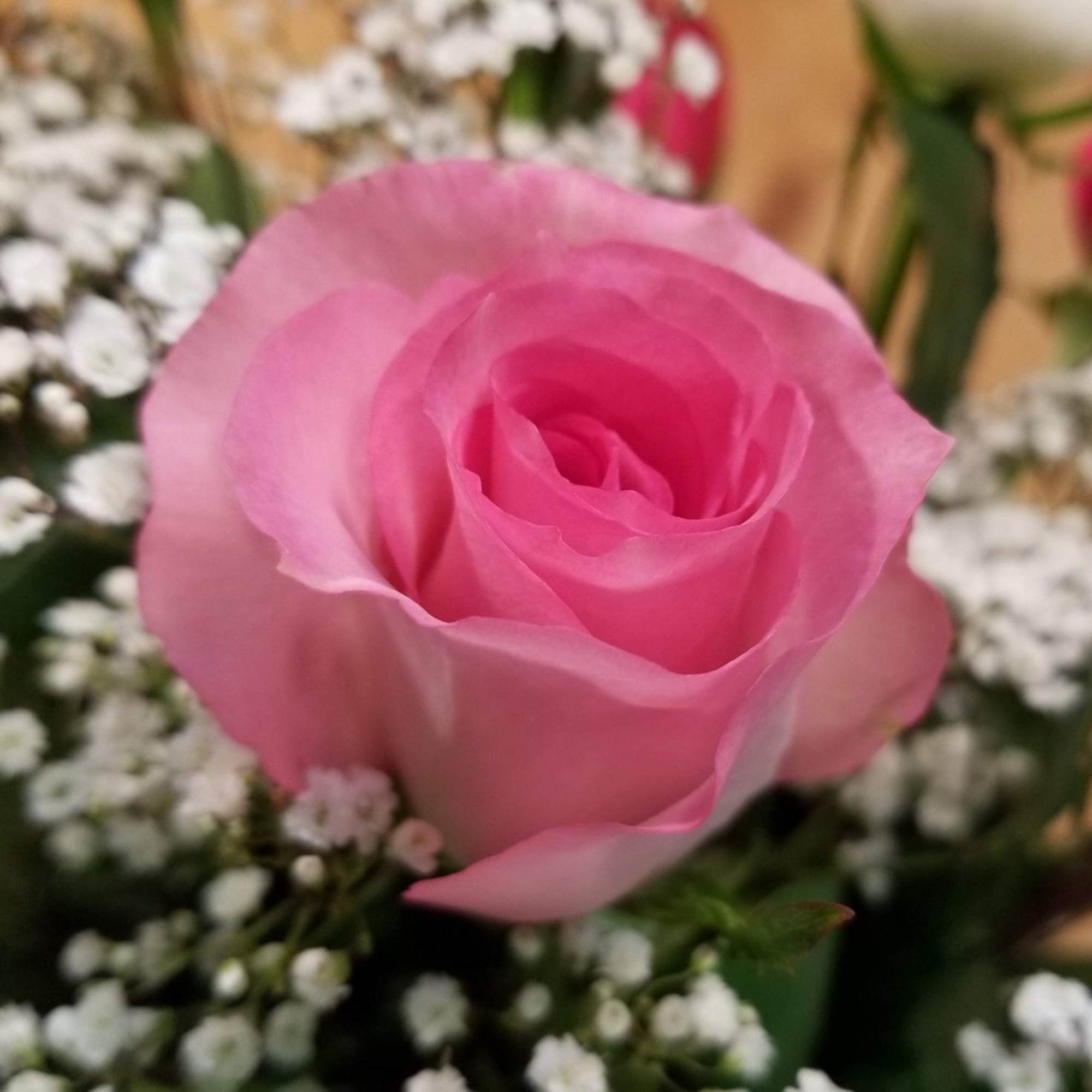 Our exquisite bouquet of magnificent, long-stem assorted roses, hand-crafted by our expert, photo 2 of 3