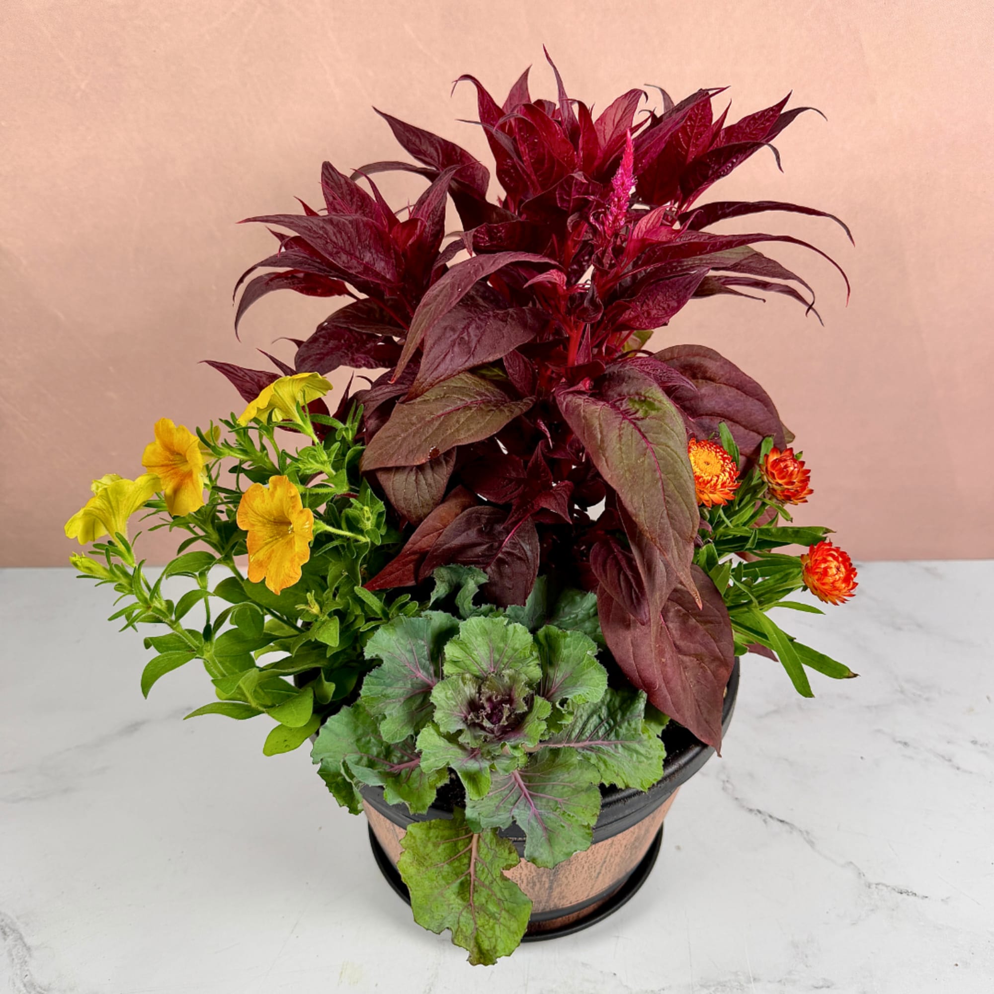 Potted arrangement with burgundy foliage and small yellow and orange flowers