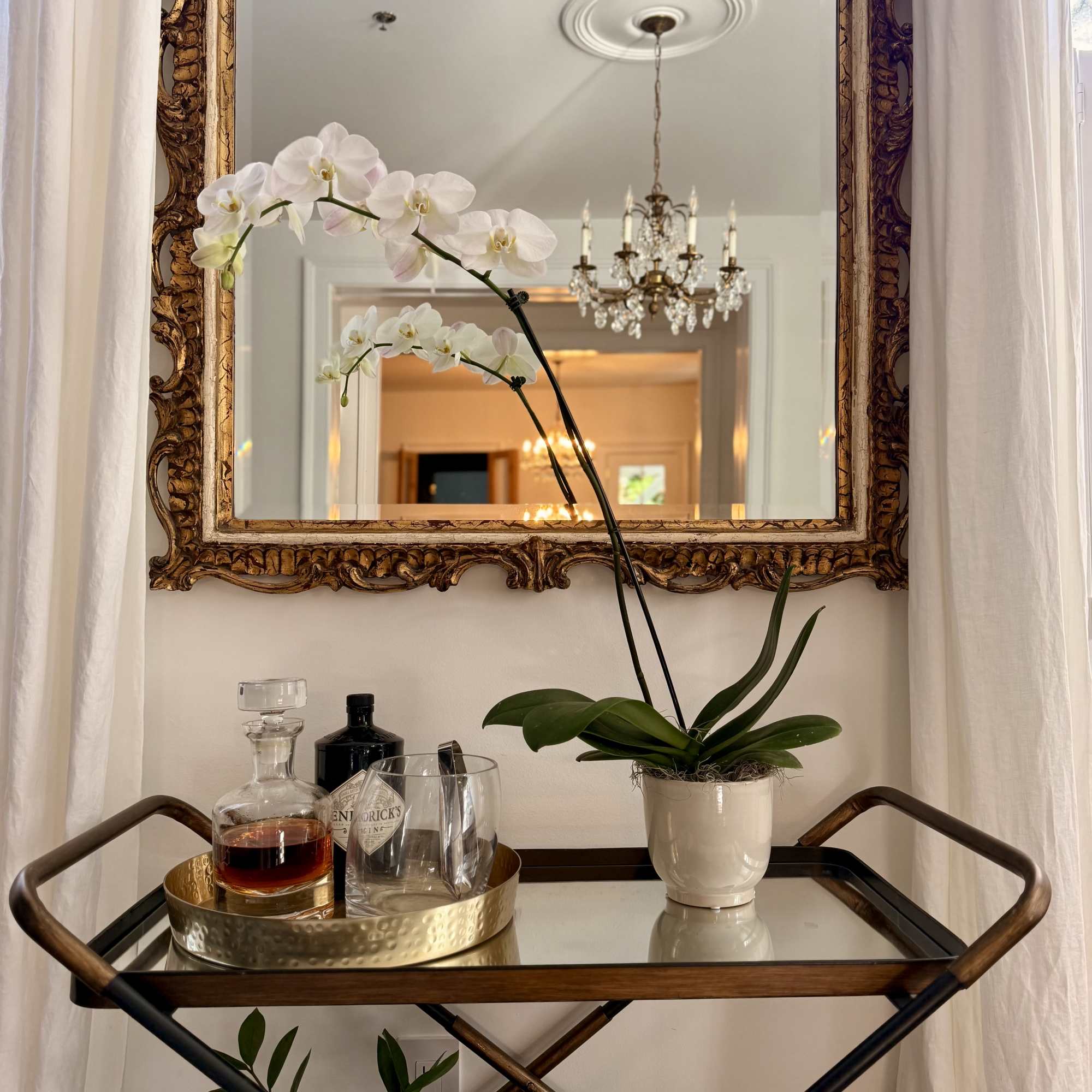 White phalaenopsis orchid in a white pot on a bar cart with mirror and glassware