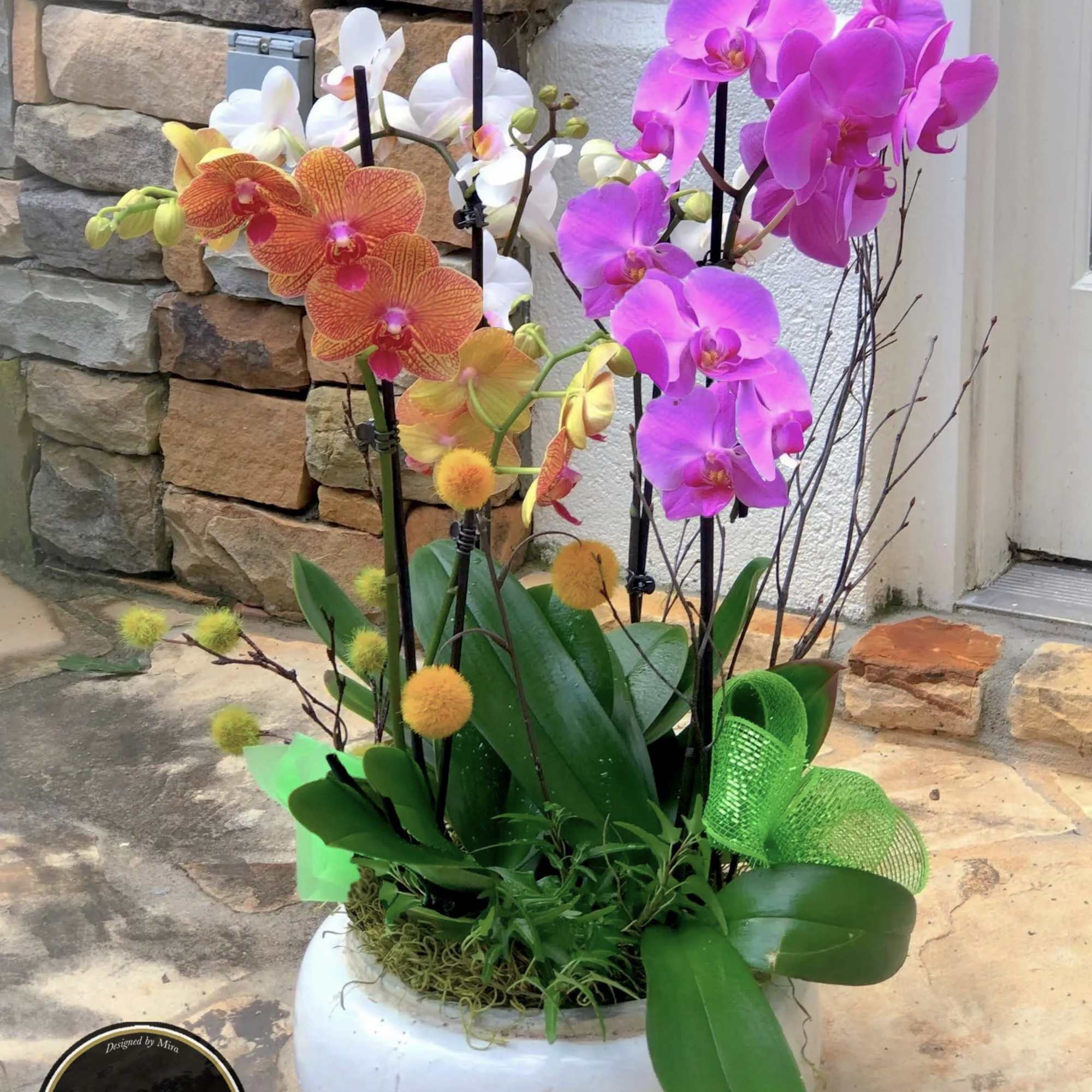 Potted arrangement of multicolored phalaenopsis orchids in a white ceramic bowl with yellow pom accents.
