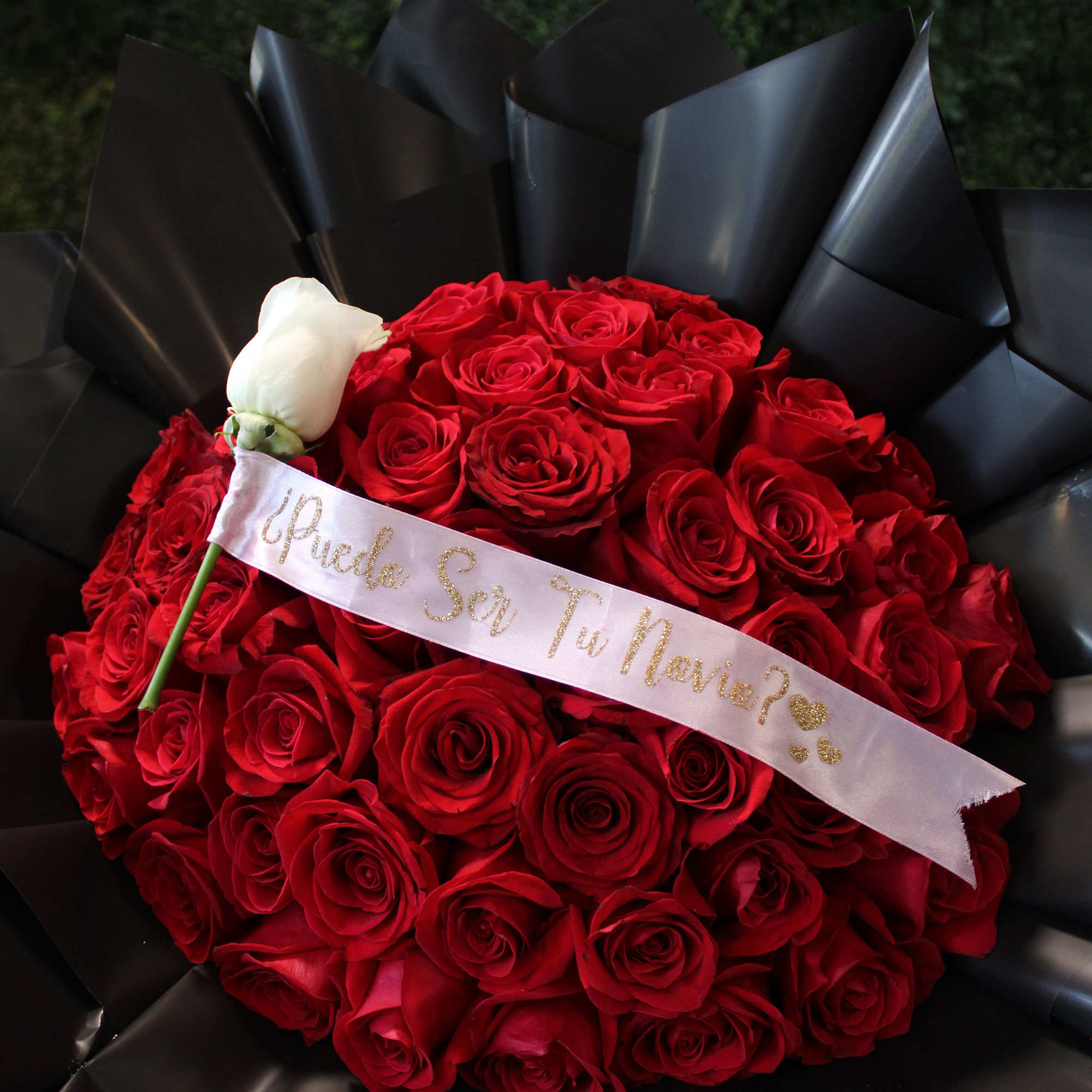 Bouquet of red roses with a white rose and black wrapping