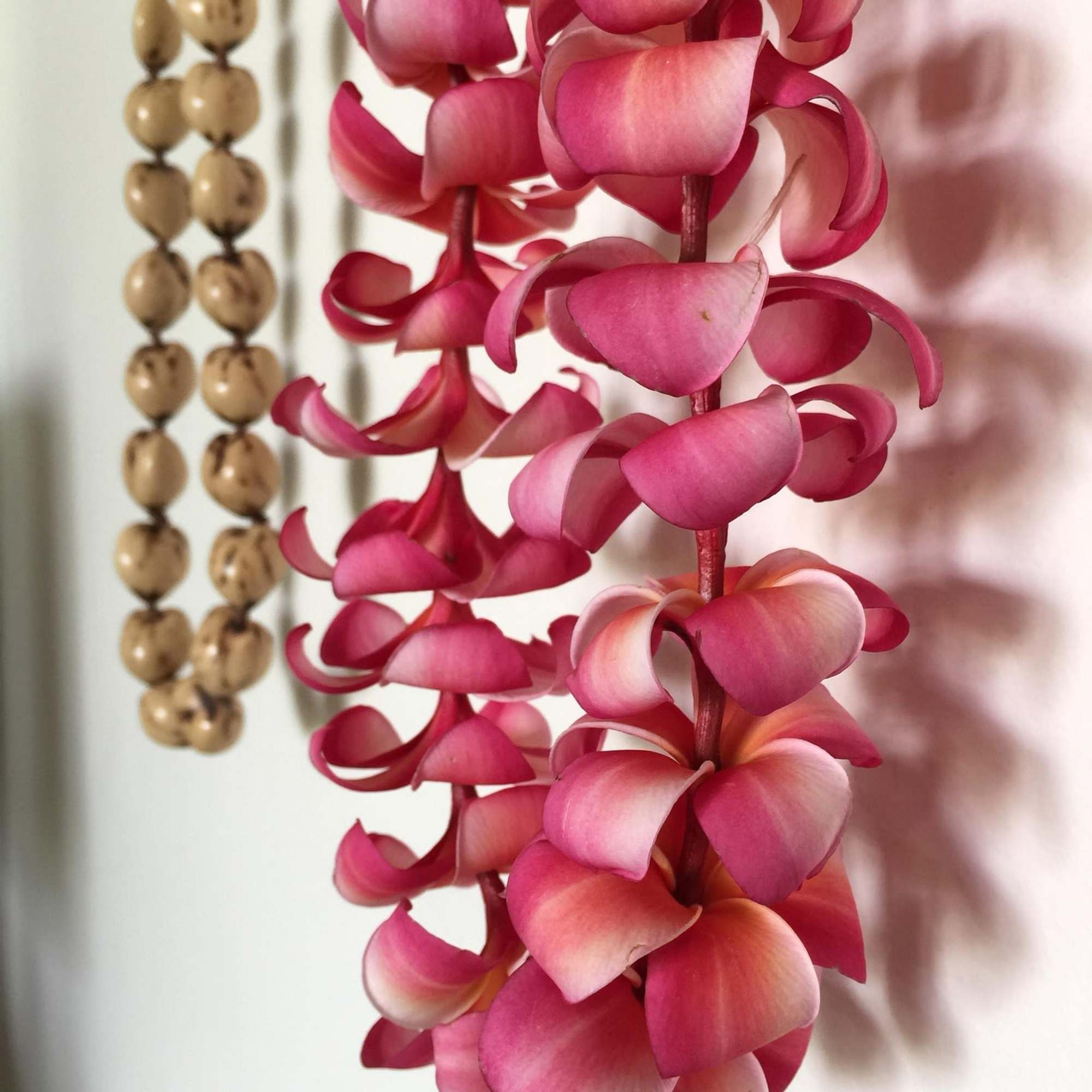 Share the spirit of "ALOHA" with a beautiful Hawaiian Leis made of