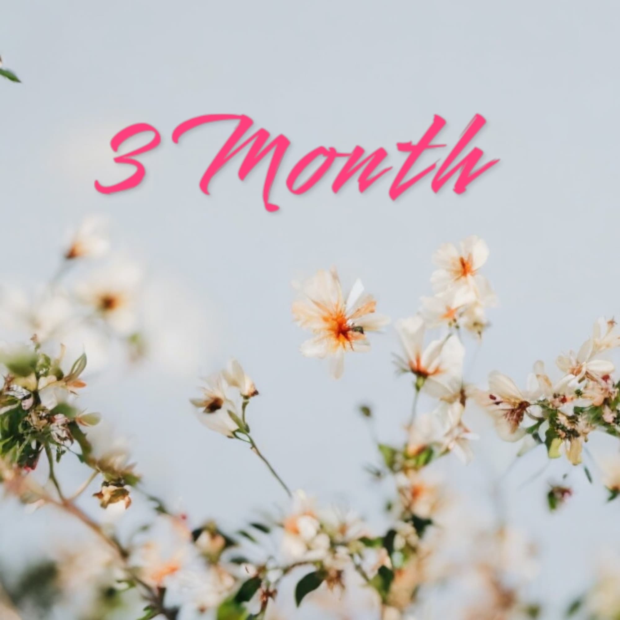 Pink "3 Month" text above small white flowers