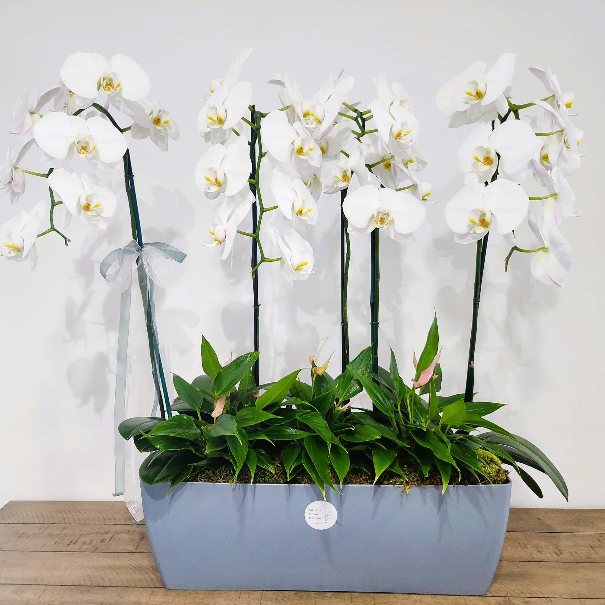 White orchids arranged in a rectangular planter with a ribbon bow