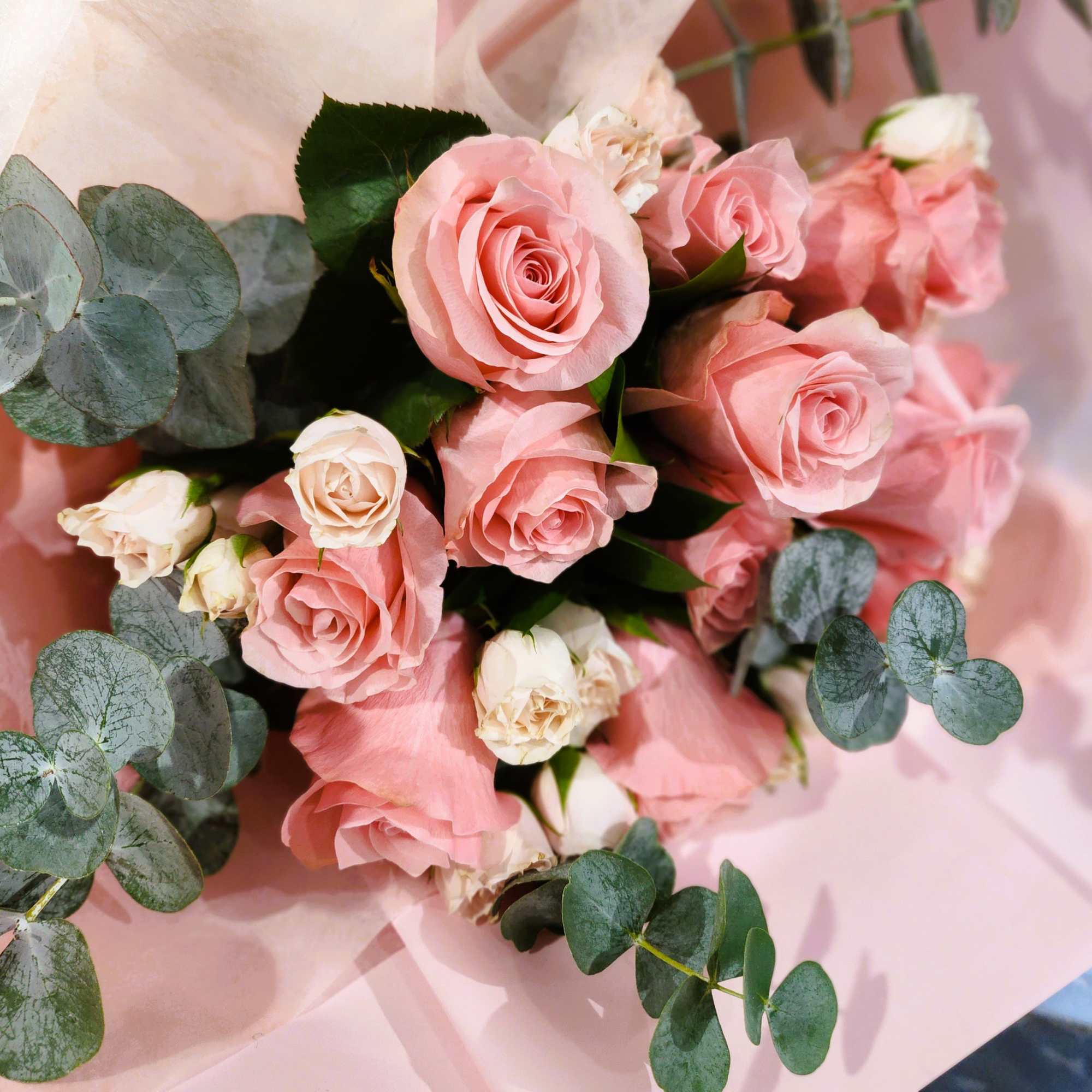 Bouquet of pink roses with eucalyptus on pink wrapping paper