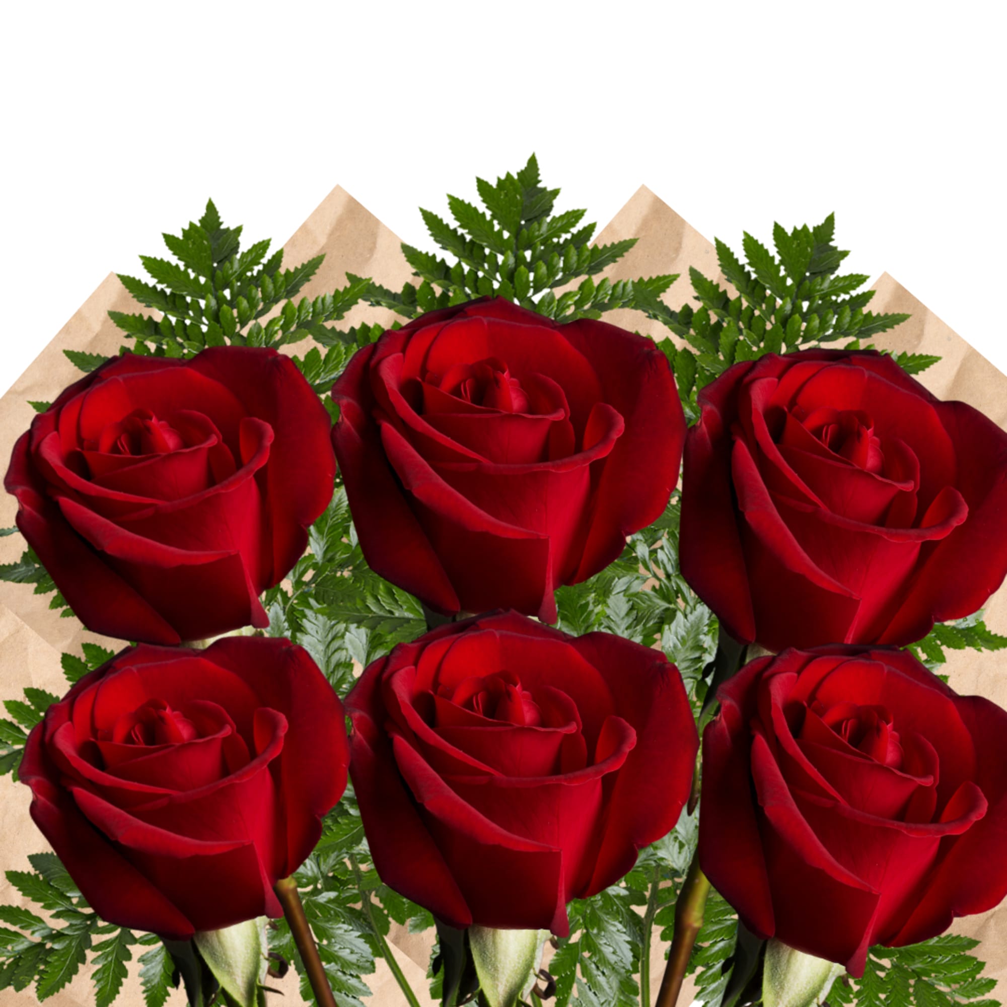 Six red roses with fern foliage wrapped in brown paper