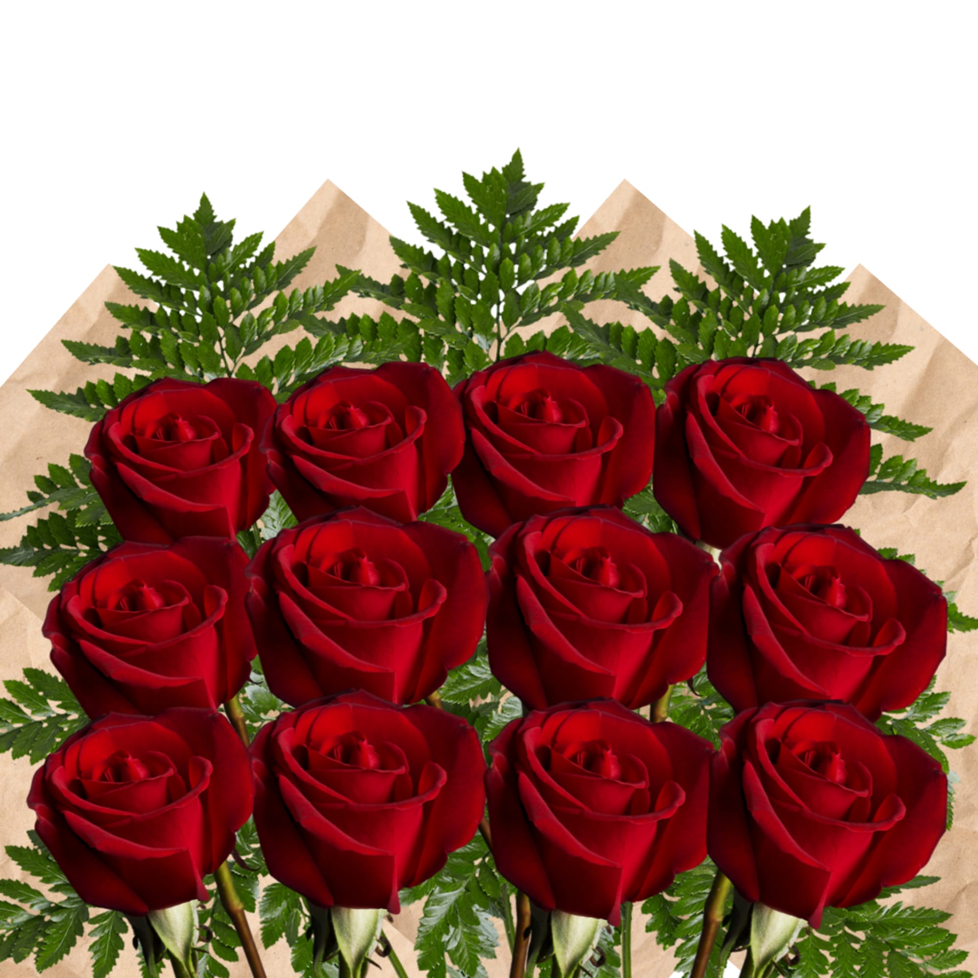 Bouquet of red roses with fern foliage wrapped in brown paper