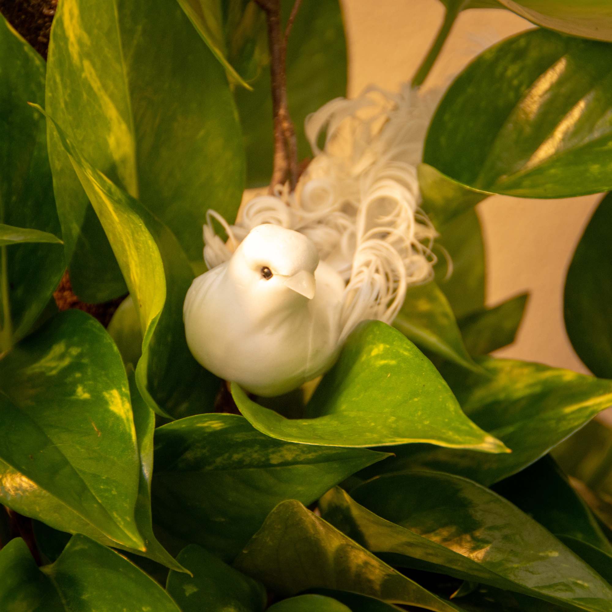 White bird ornament nestled among glossy green leaves