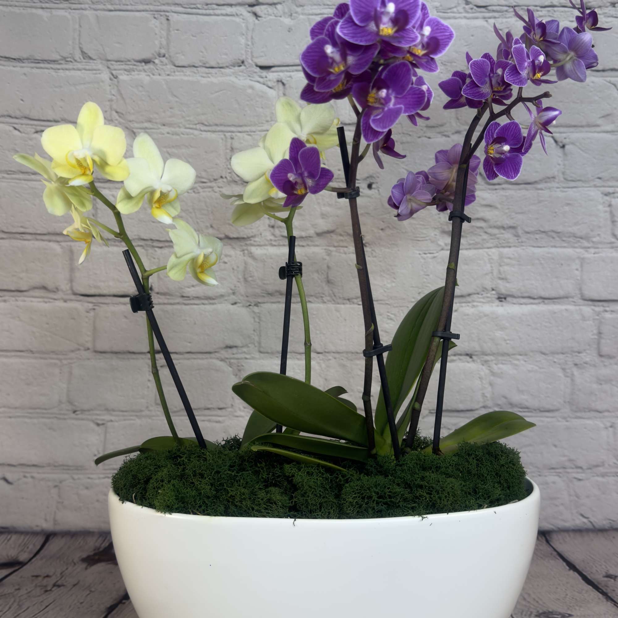 Our "Orchid Delight" is a captivating floral arrangement that brings natural beauty