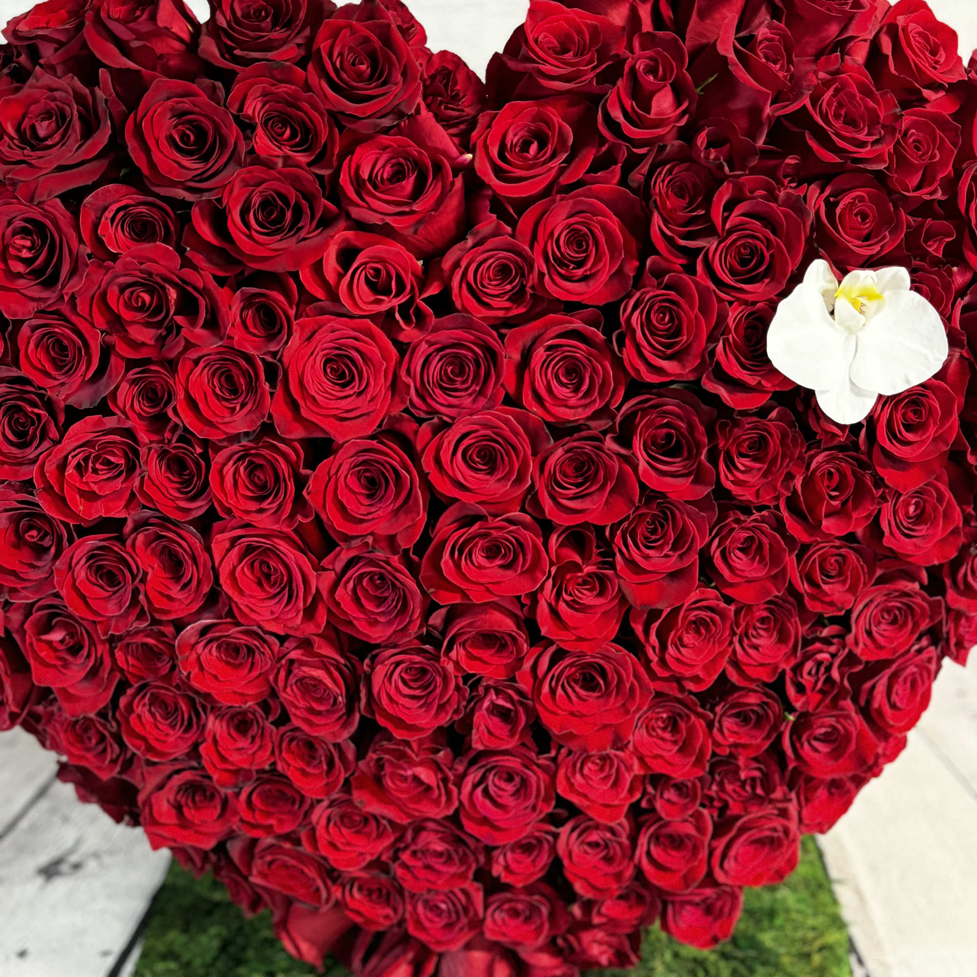 Heart-shaped arrangement of red roses with a white orchid accent, photo 4 of 4