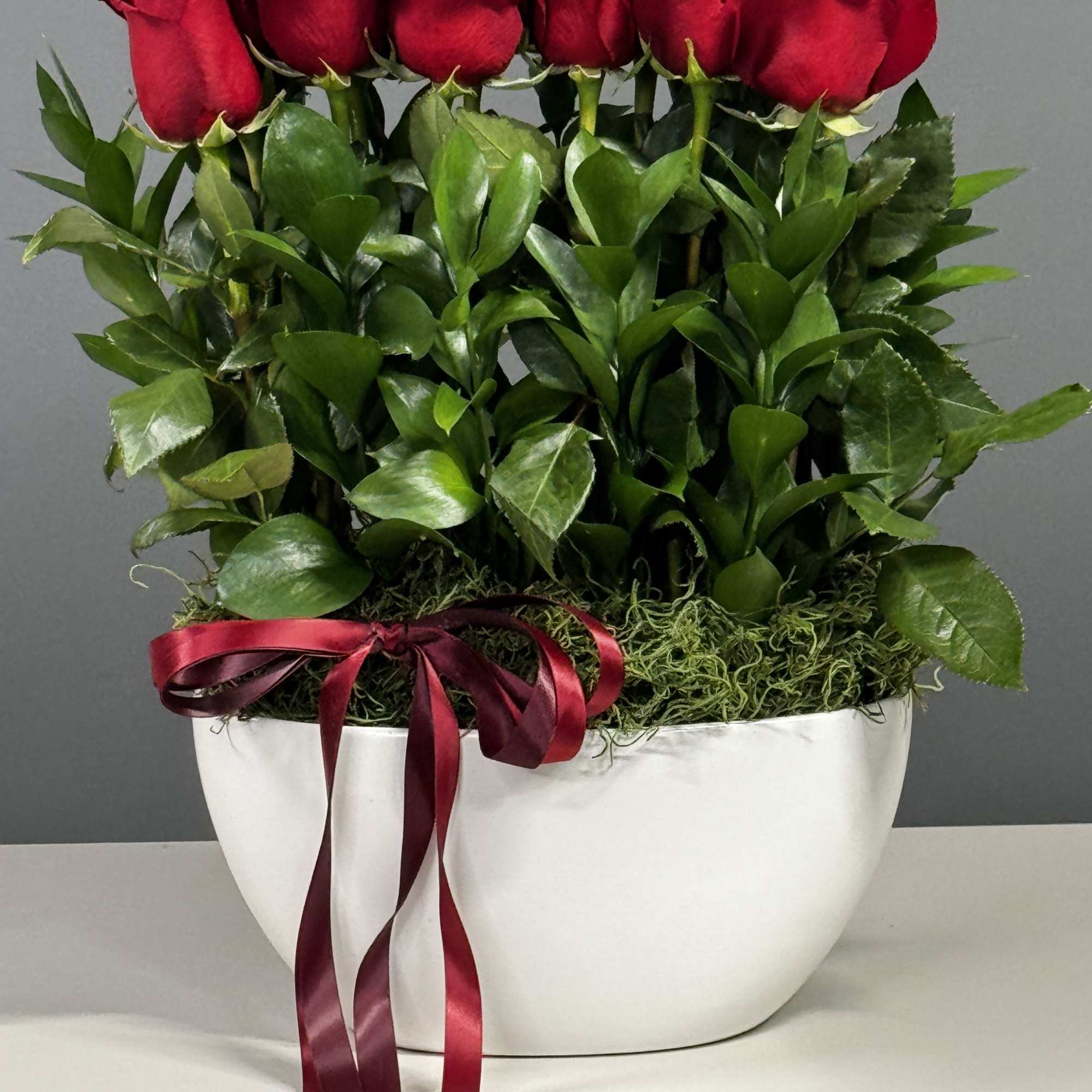 Red roses arranged in a white oval container with a burgundy ribbon
