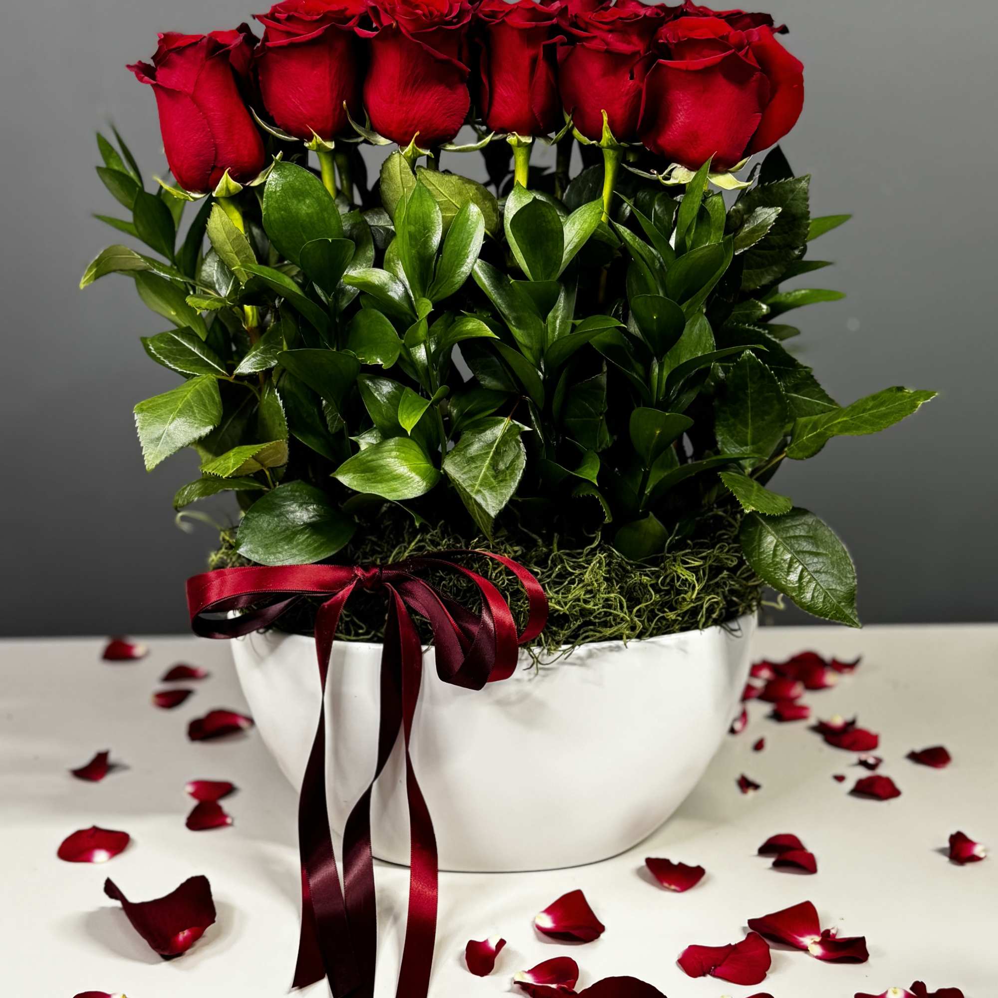 Red roses arranged in a white vase with a burgundy ribbon, photo 2 of 6