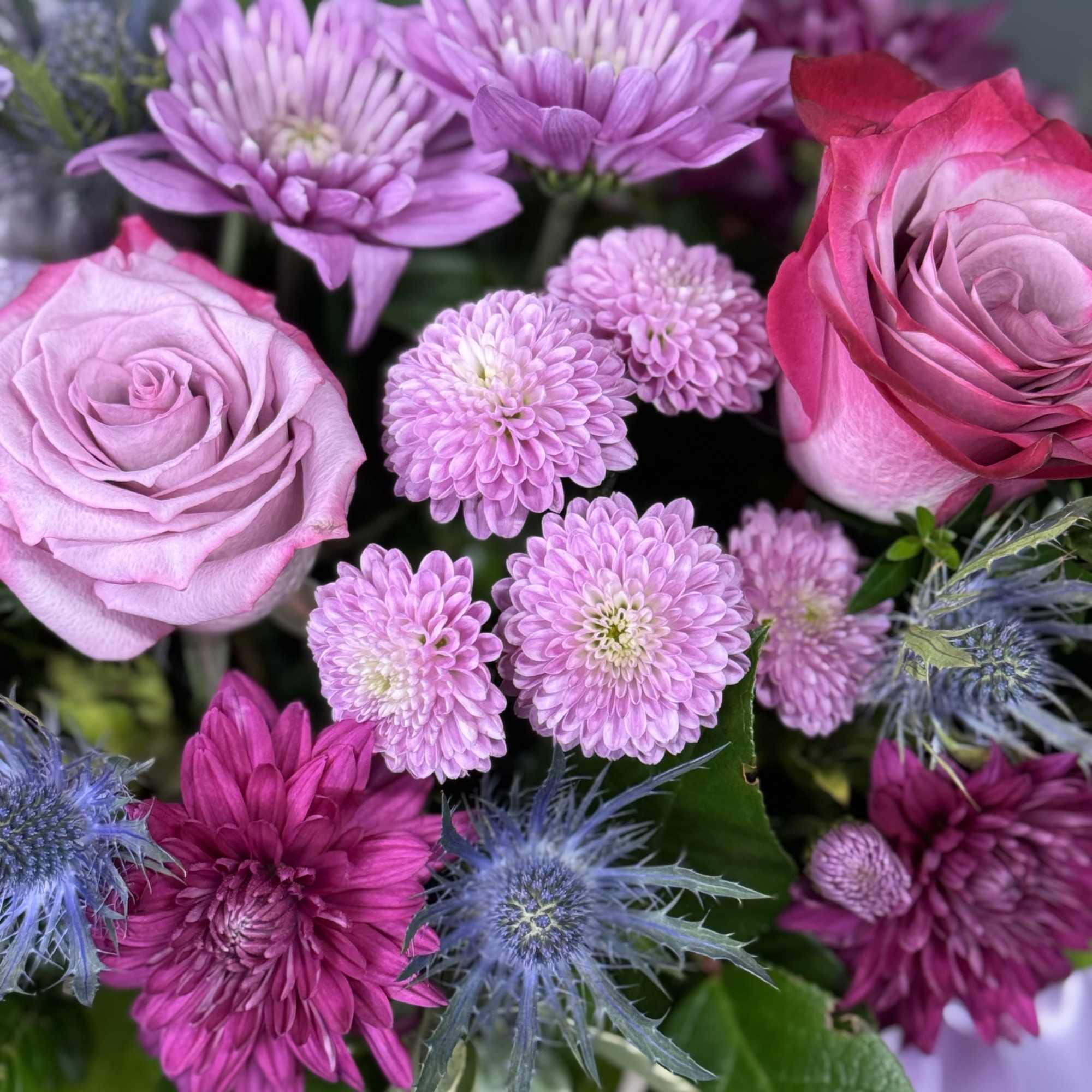 Pink roses and purple chrysanthemums in a bouquet