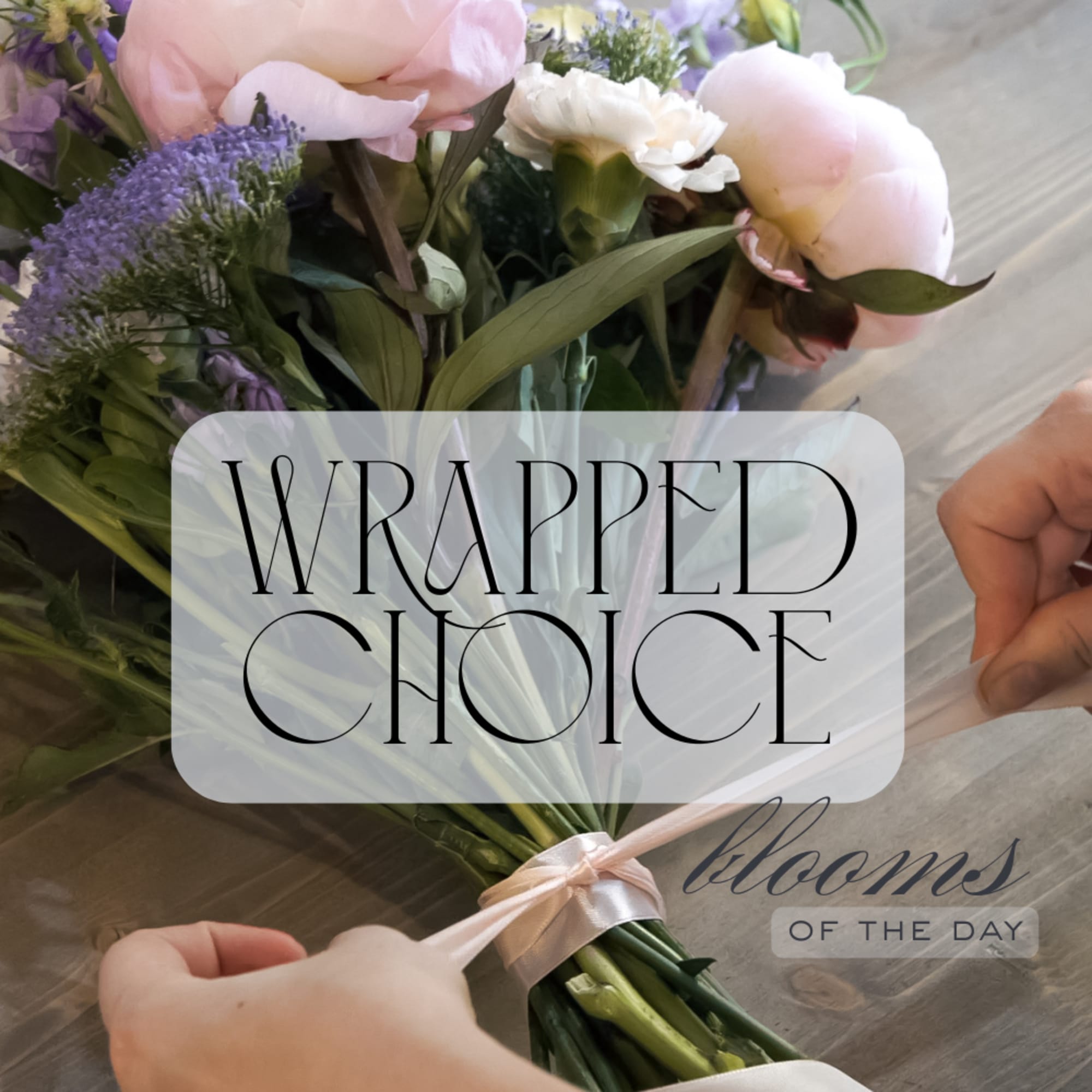 Wrapped bouquet of pale pink and white flowers with a satin ribbon
