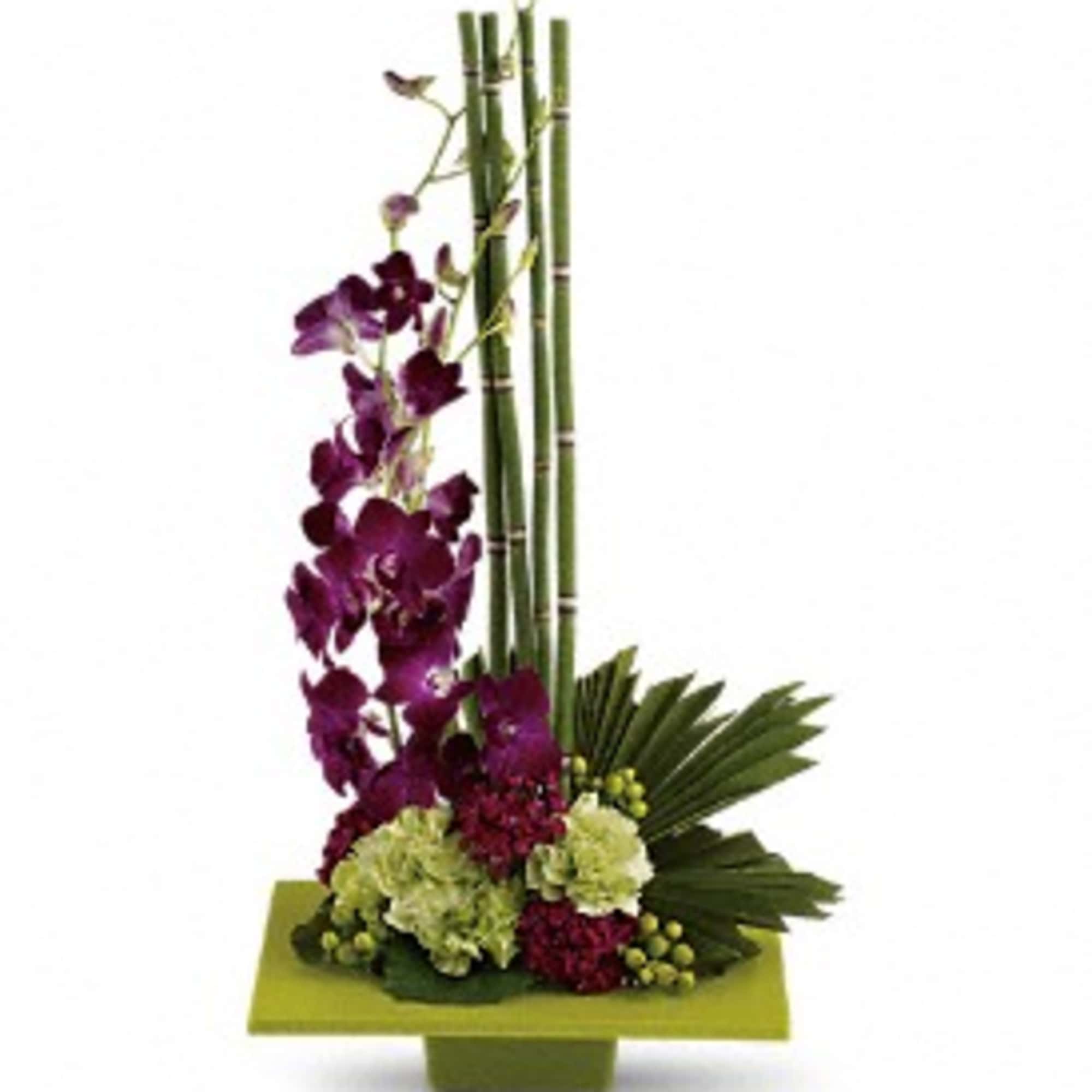Modern arrangement with purple orchids, green carnations, and bamboo stems in a low green rectangular dish
