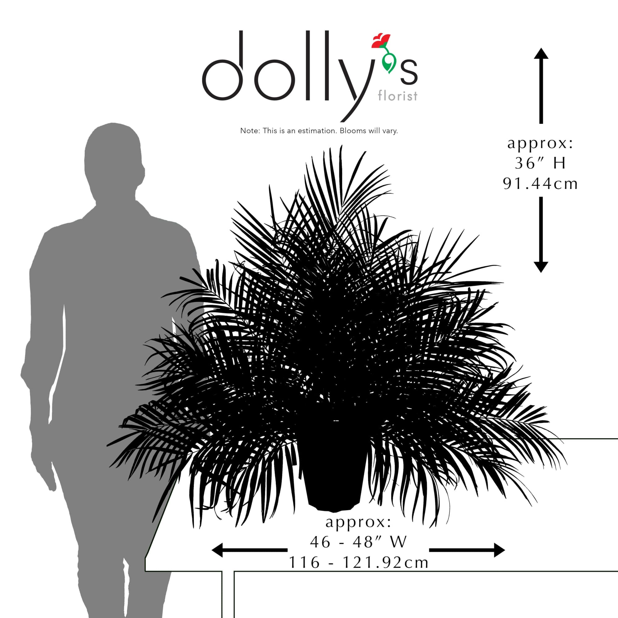 Large black palm arrangement in a pot with size measurements