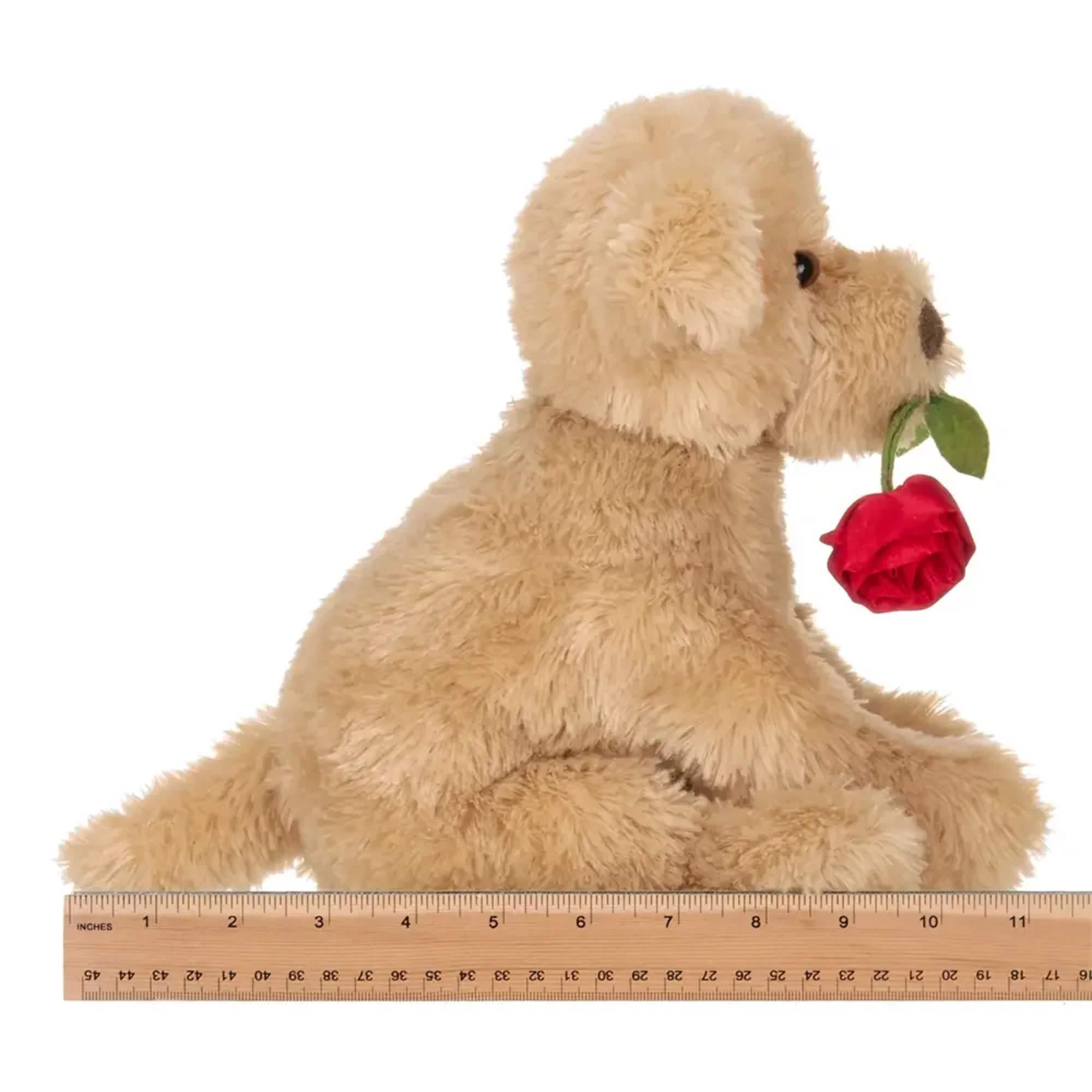 Plush tan dog holding a red rose with a ruler below