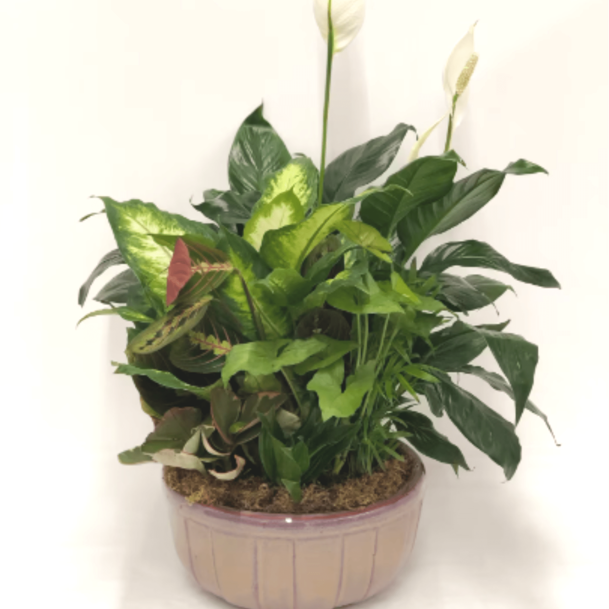 Potted houseplant arrangement with white peace lilies and mixed foliage
