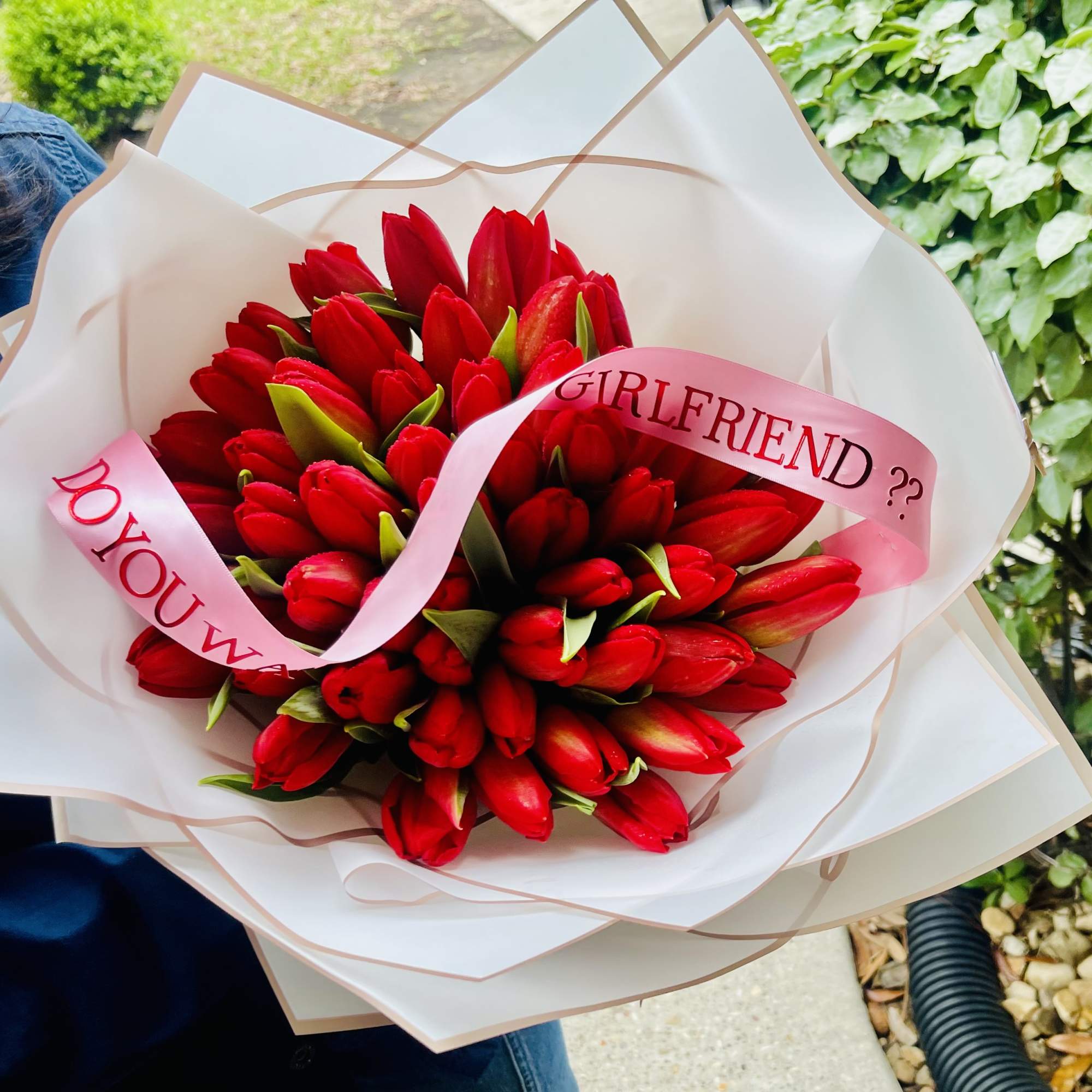 Bouquet of red tulips wrapped in white paper with pink ribbon