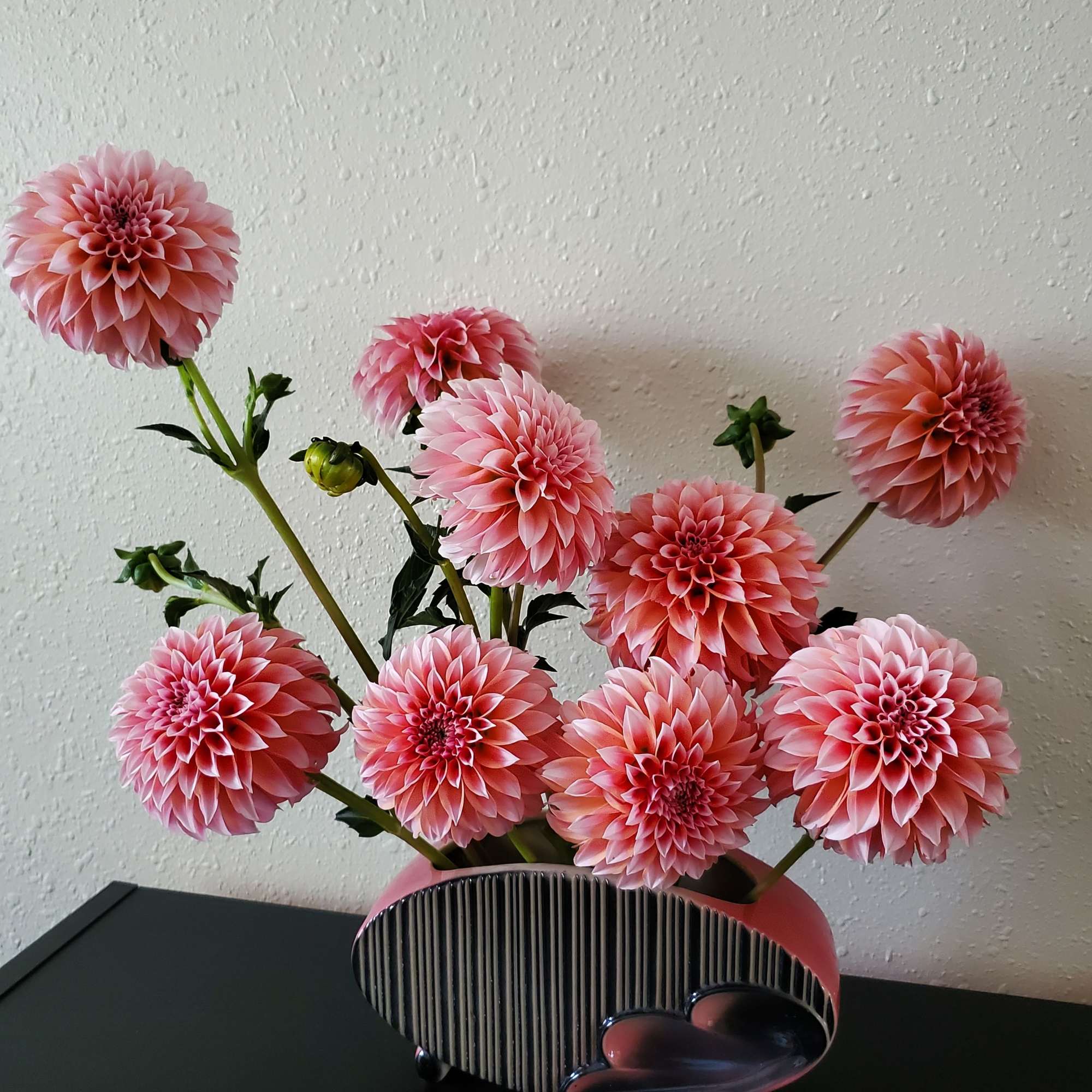 Arrangement of round pink dahlias in a low modern ceramic vase on a dark table