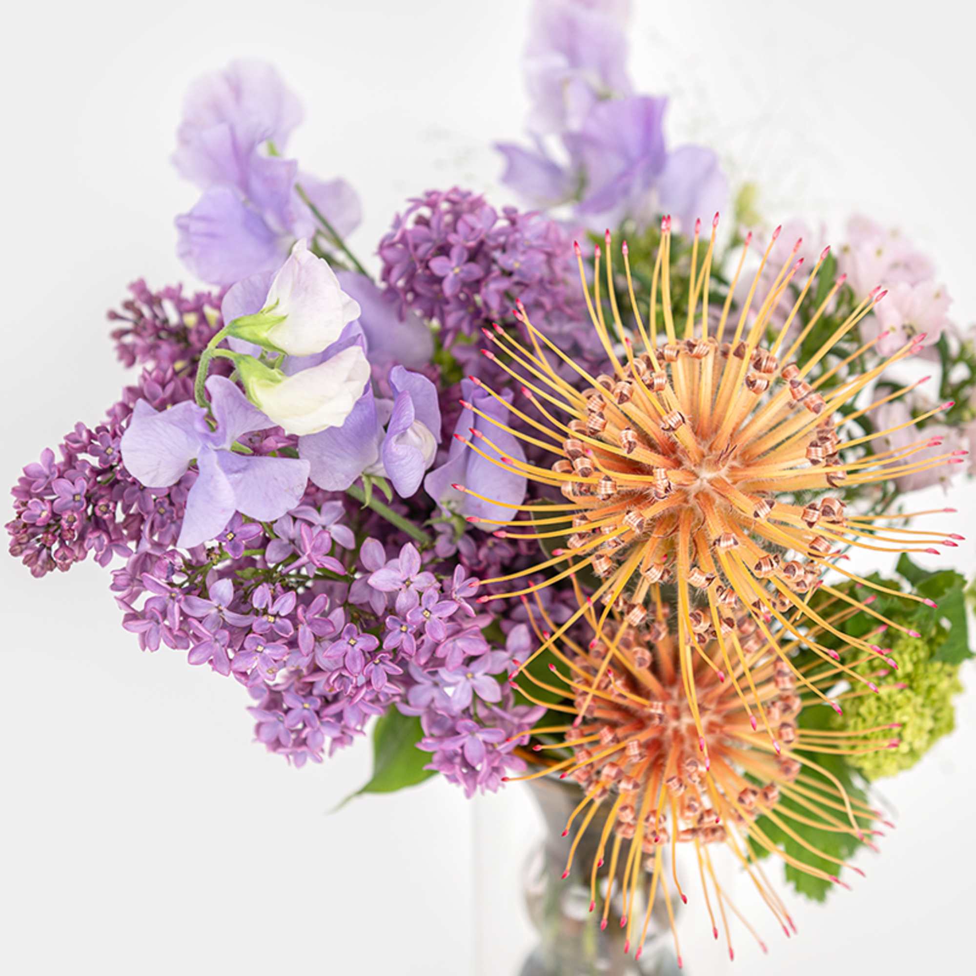 Purple flowers with orange pincushion blooms in a glass vase