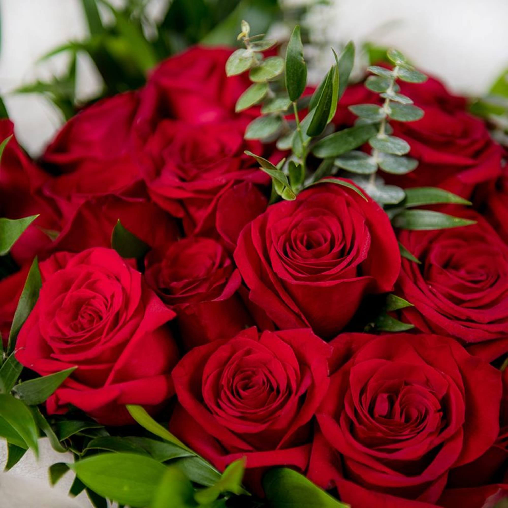 Our 24 Carat bouquet showcases 24 luxurious long-stemmed red roses, hand-tied with, photo 5 of 5