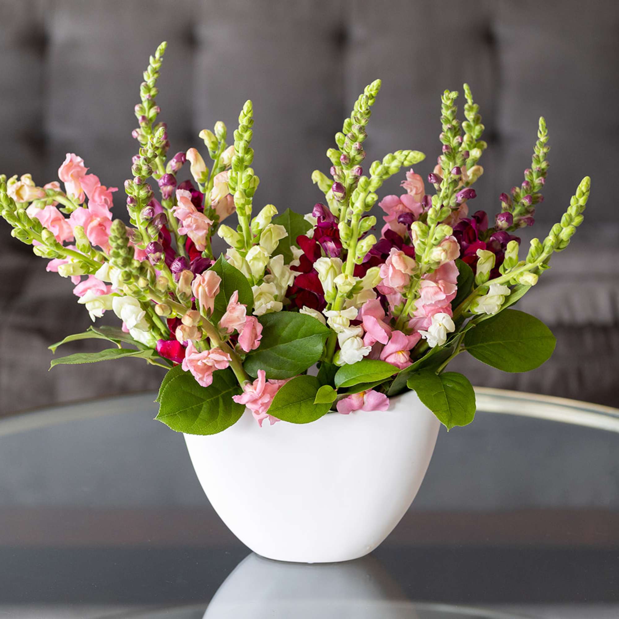 Pink and white snapdragons in a white bowl vase