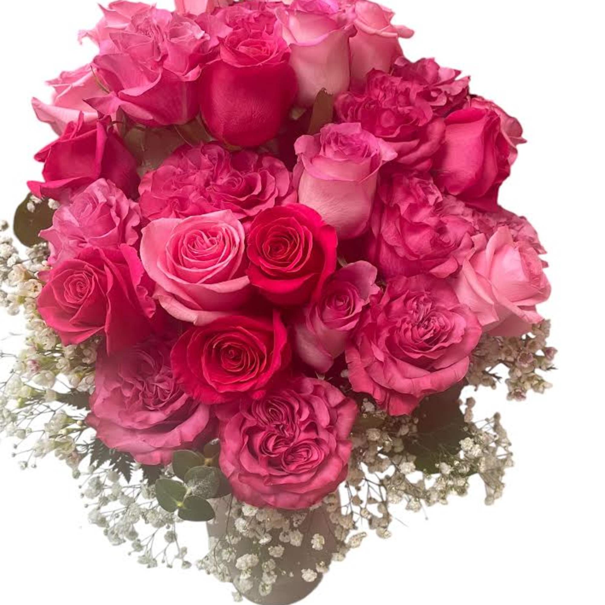 Bouquet of pink roses with baby's breath on a white background