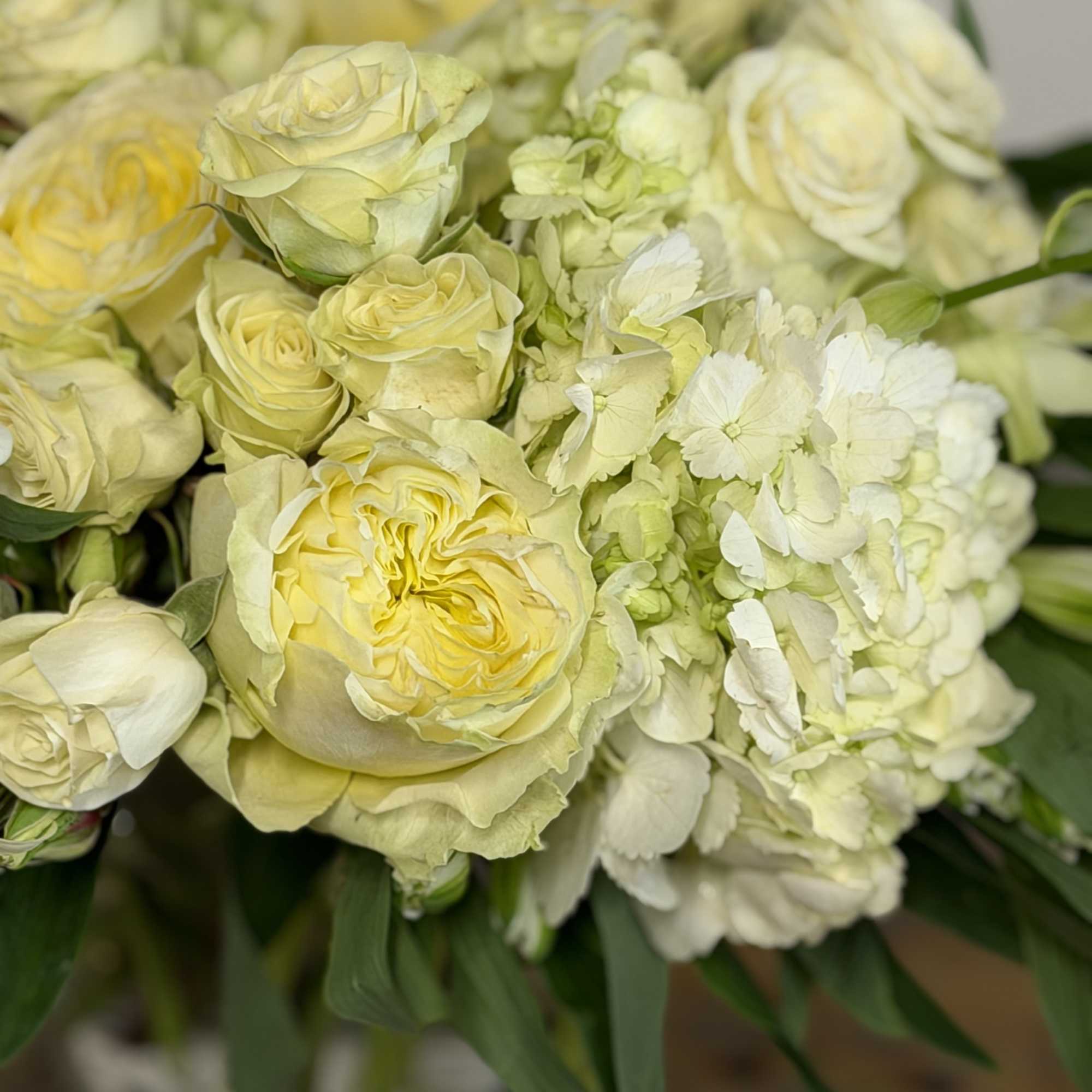 Bouquet of pale yellow roses and white hydrangeas