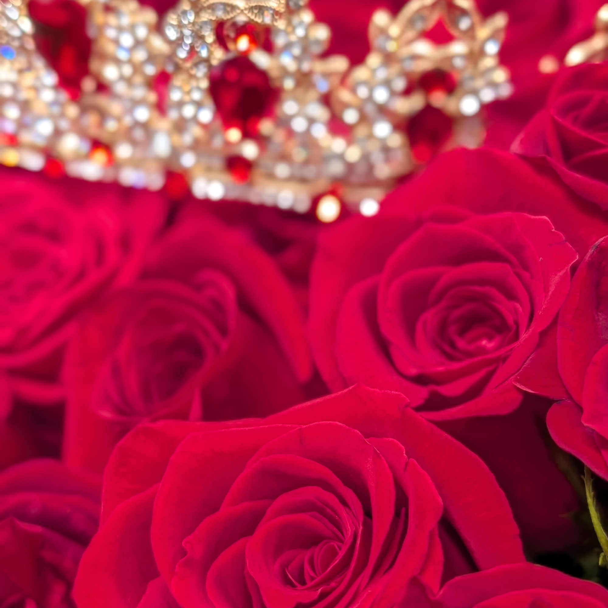 Close-up of red roses with a jeweled gold crown resting on top.