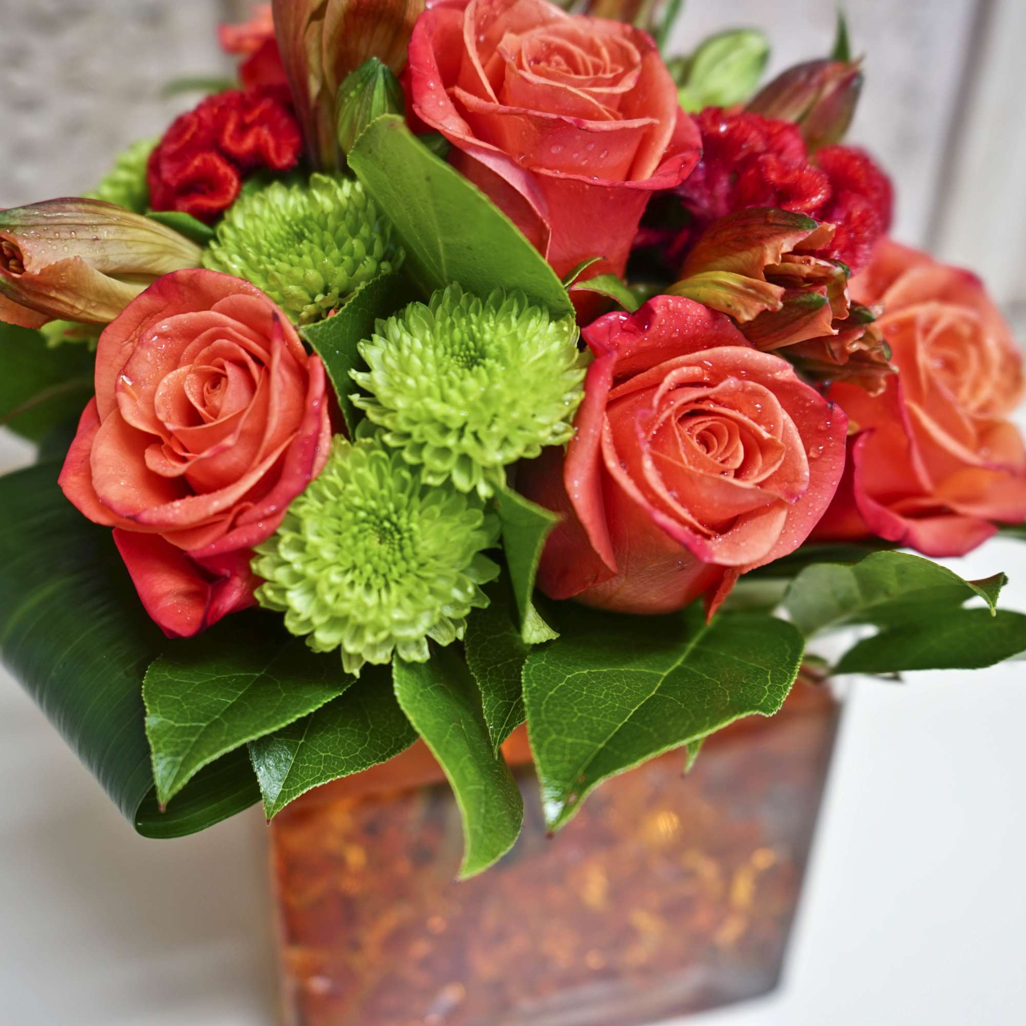 Coral roses and green mums in a square glass vase
