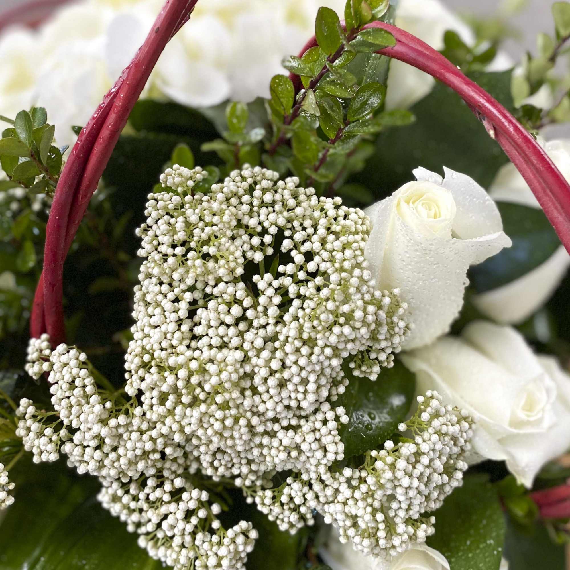 White roses and tiny white filler flowers in a red basket handle