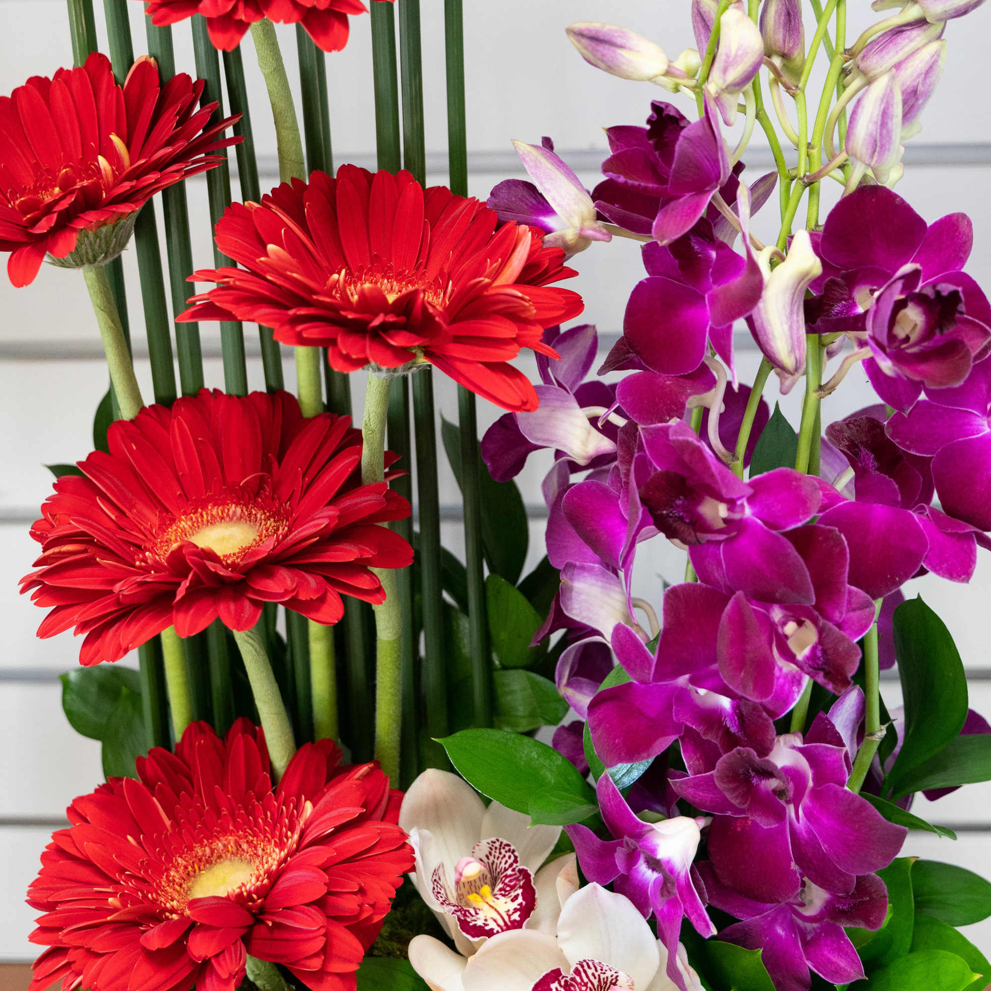 Red gerberas and purple orchids in a rectangular planter
