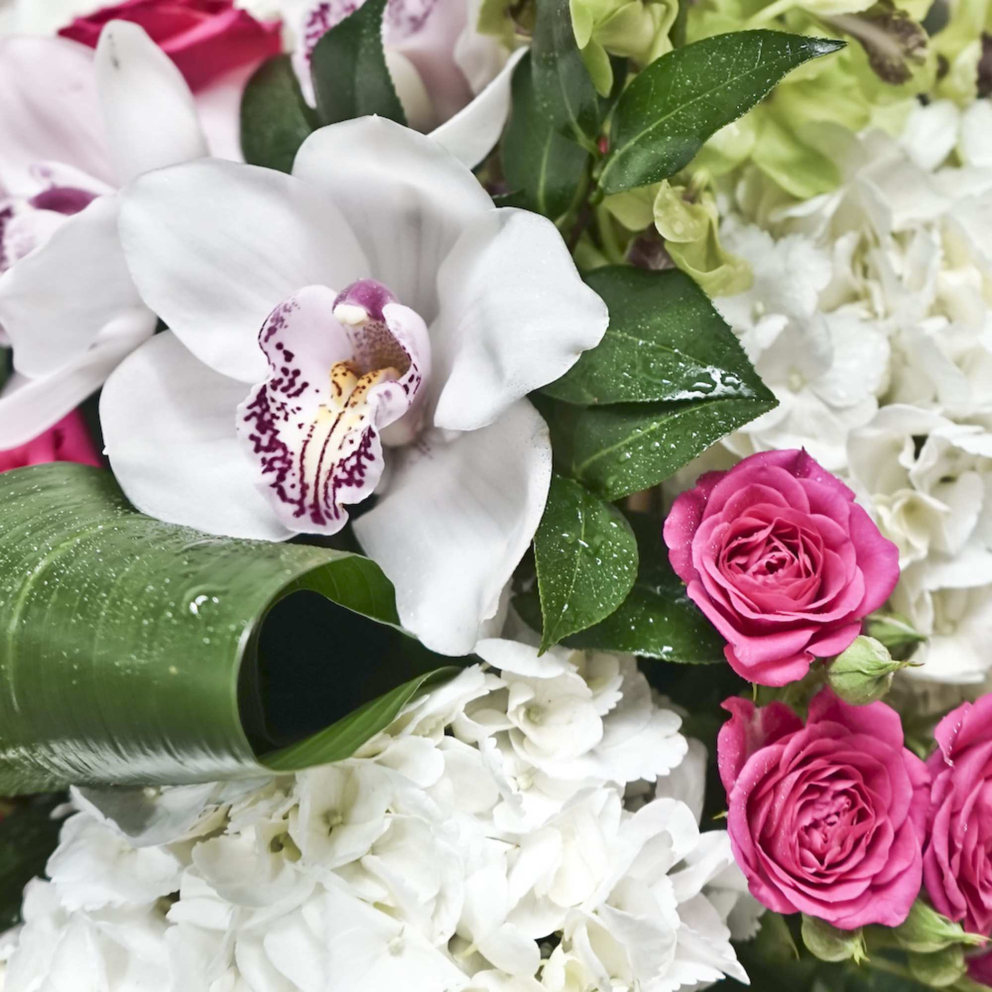 Bouquet of white orchids, pink roses, and white hydrangeas