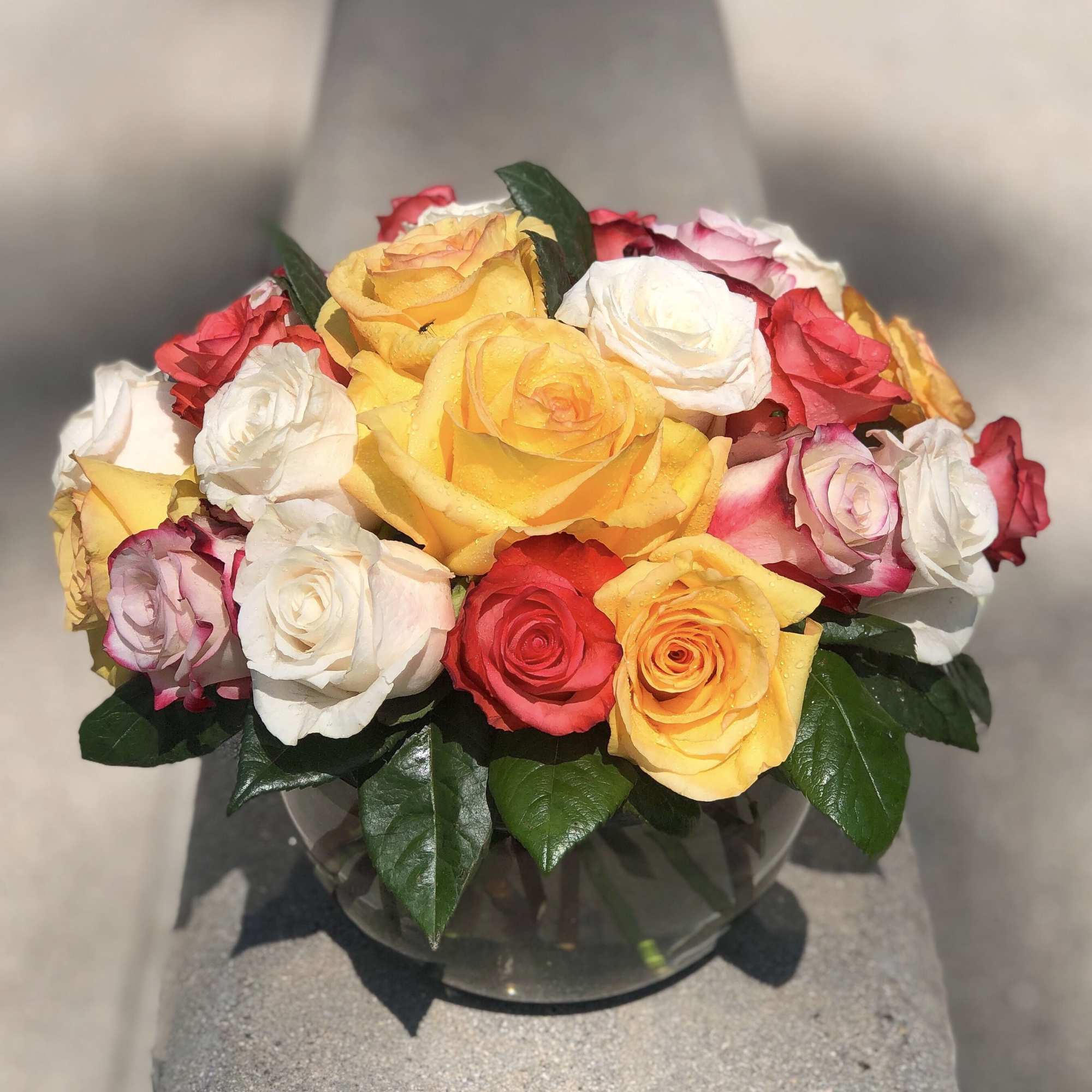 Mixed roses in yellow, white, pink, and red arranged in a glass vase.