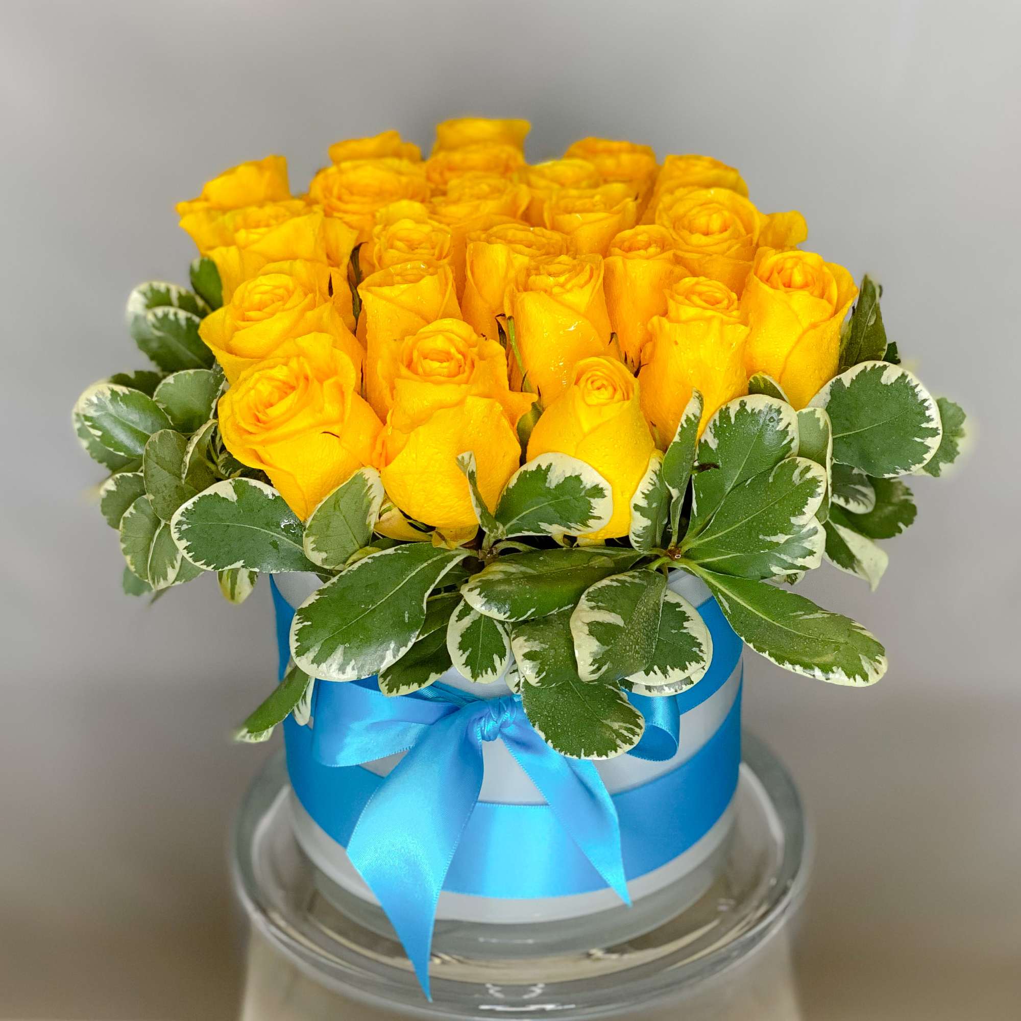 Yellow roses in a blue ribboned box with variegated greenery