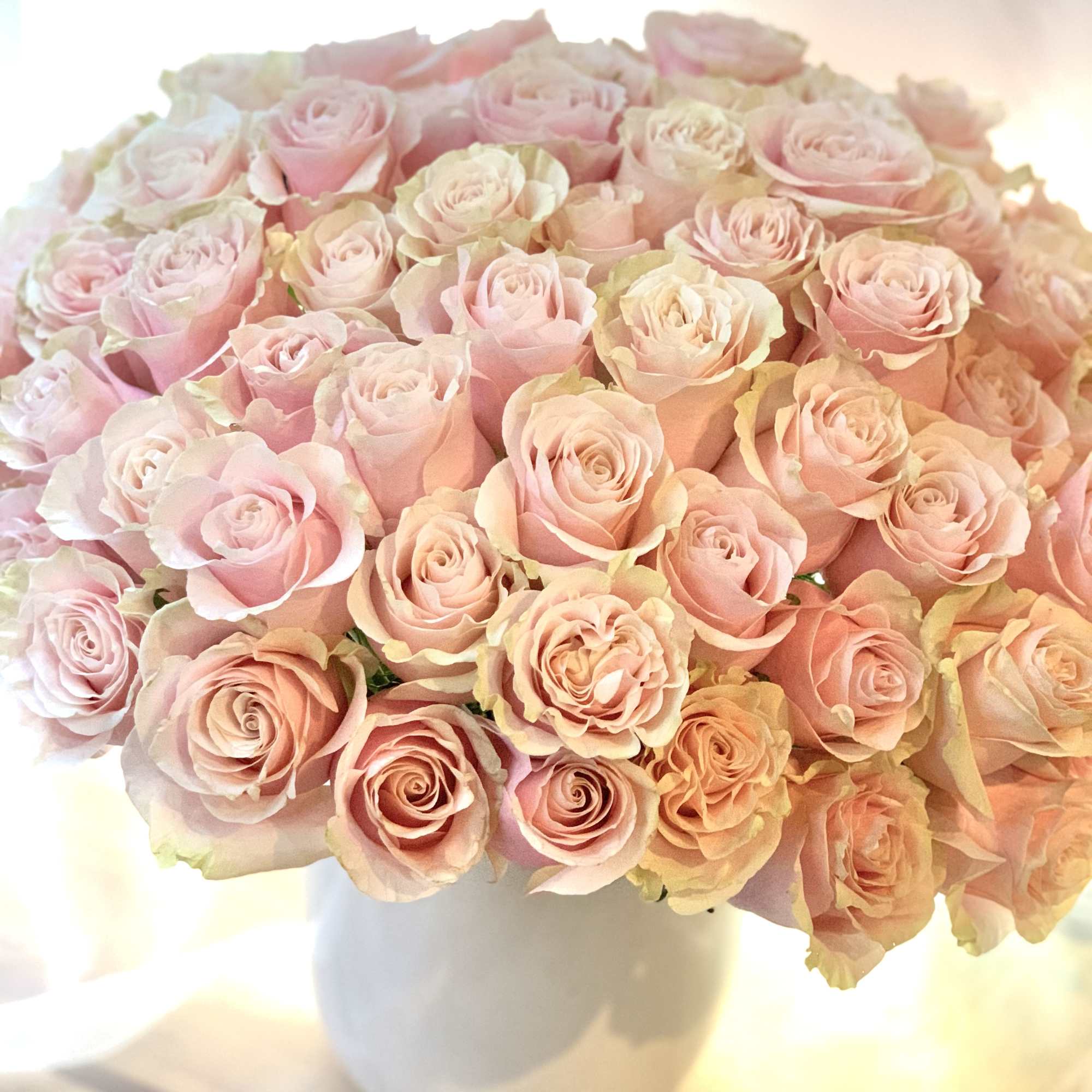Bouquet of pale pink roses in a white vase, photo 2 of 3