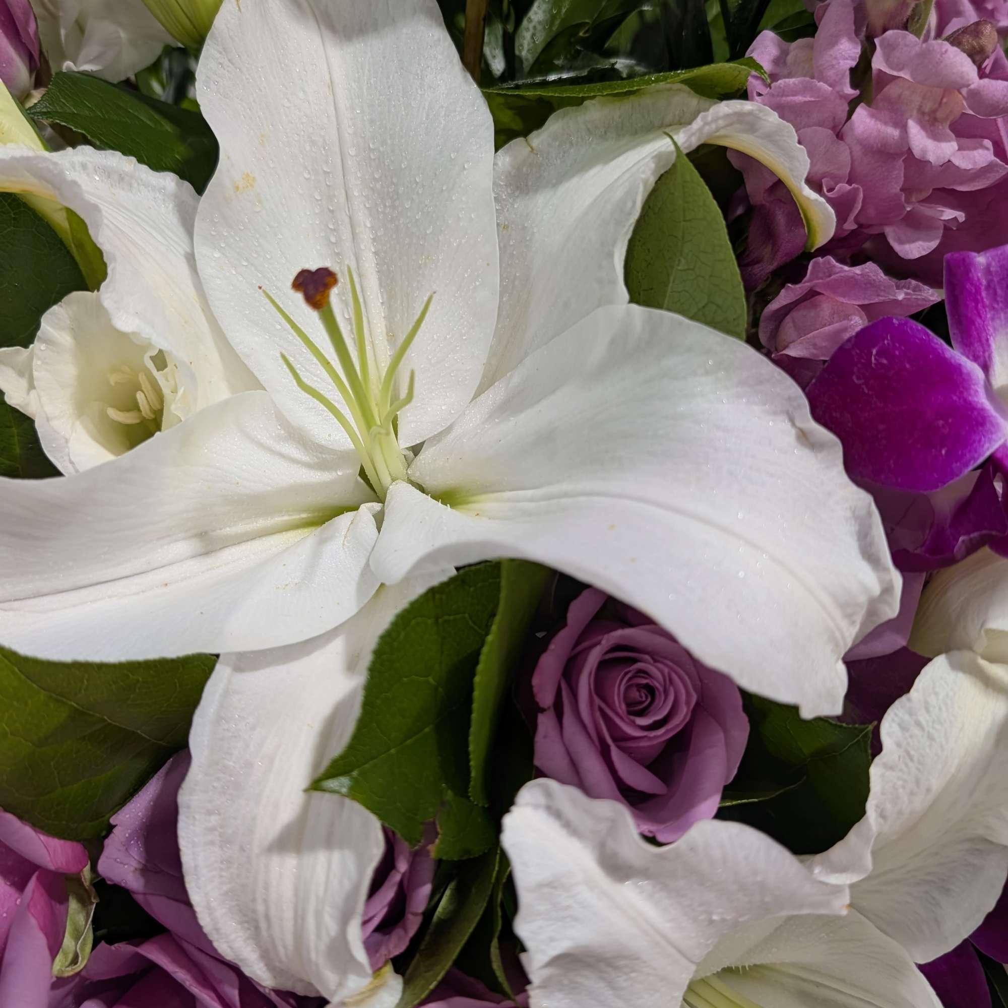 White lilies and purple roses in a close-up bouquet