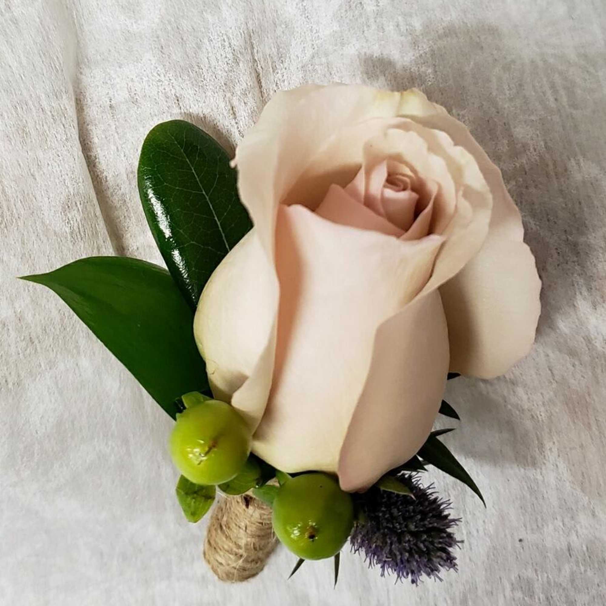 Single pale pink rose with green berries and dark purple accent flower