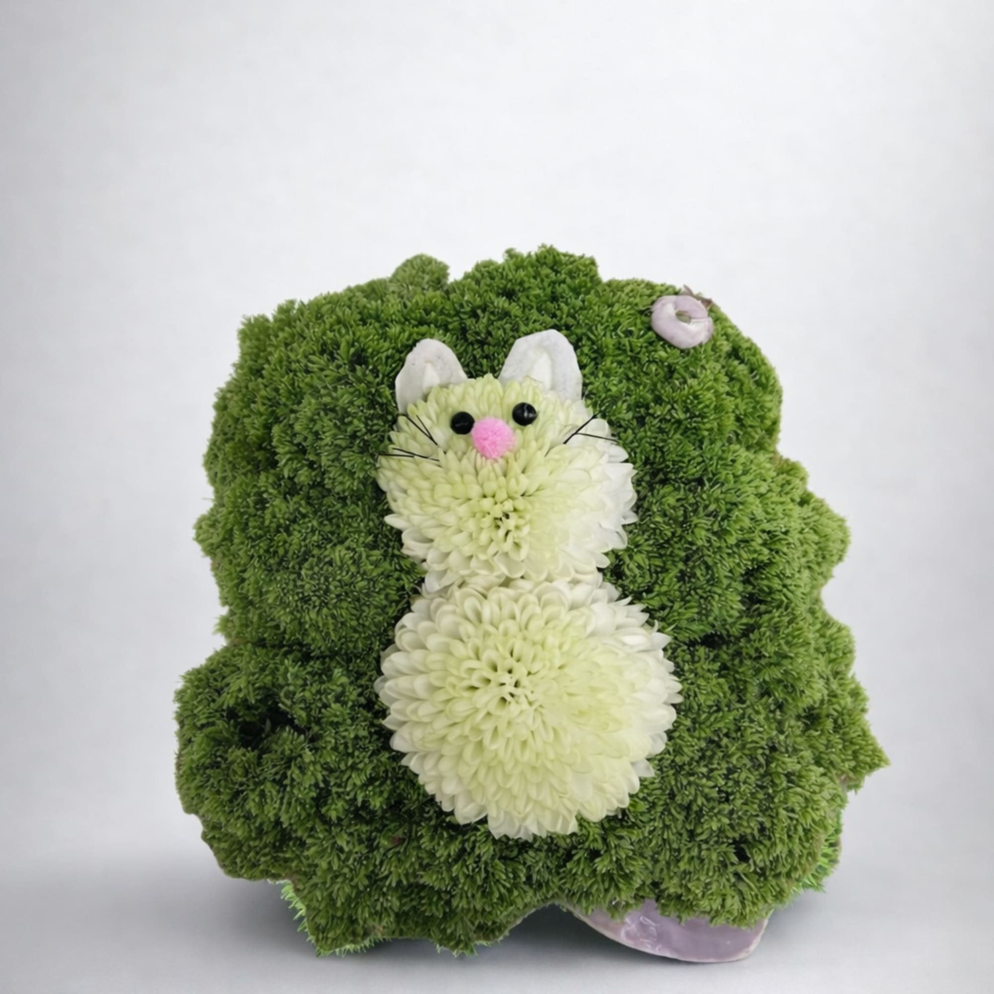 This delightful arrangement features a charming glass cube filled with vibrant greenery