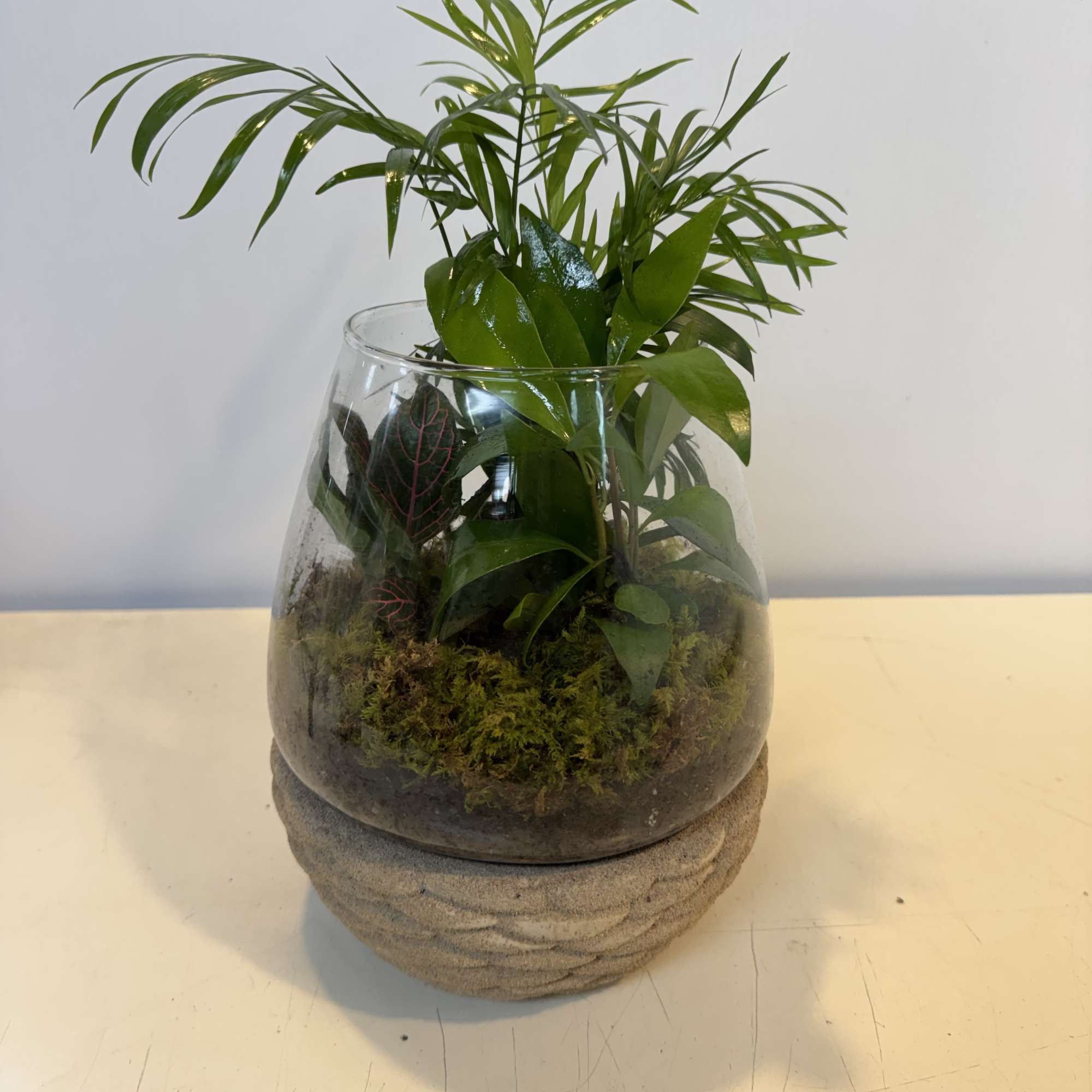 A lush mini garden in glass. This mixed plant terrarium features vibrant