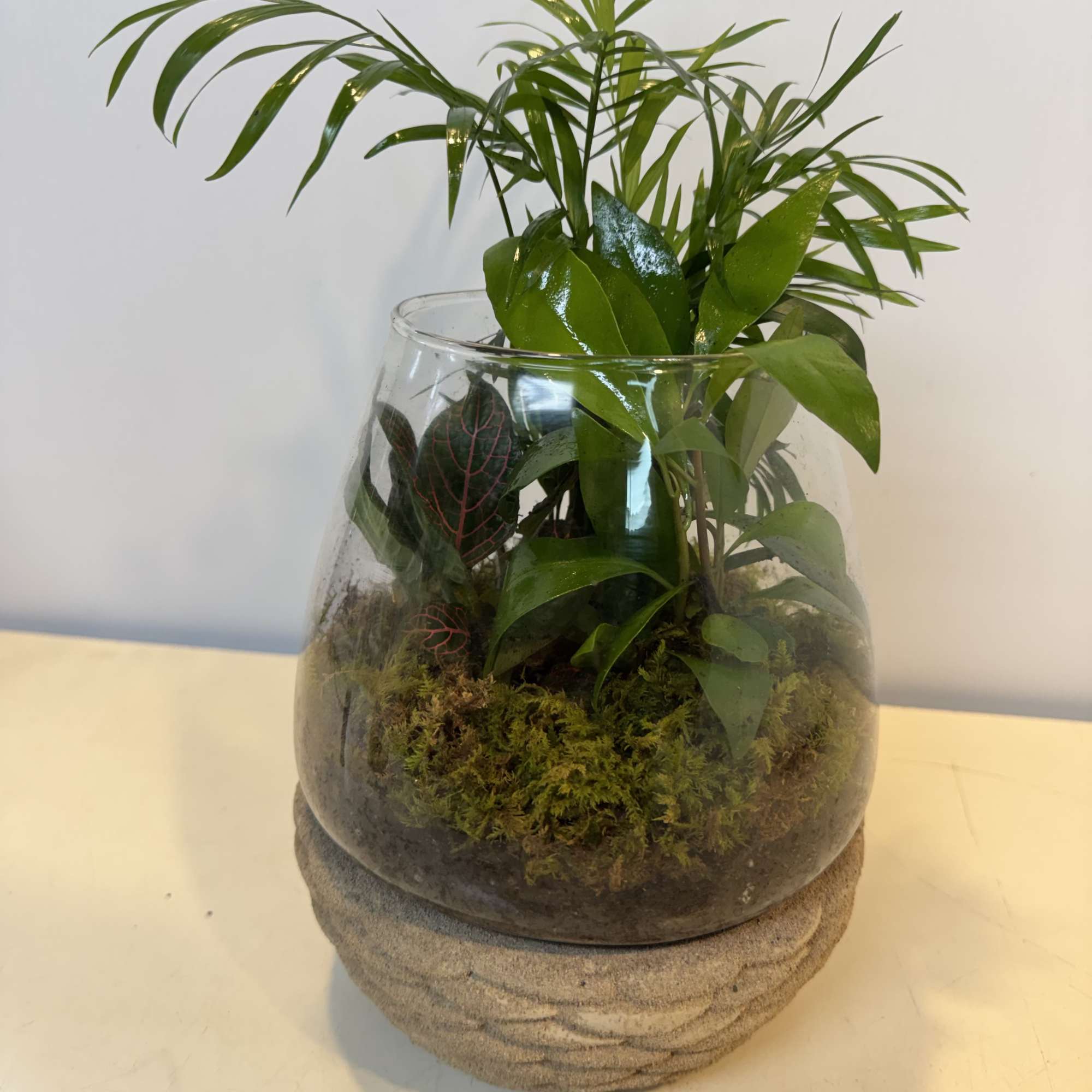 A lush mini garden in glass. This mixed plant terrarium features vibrant, photo 2 of 2