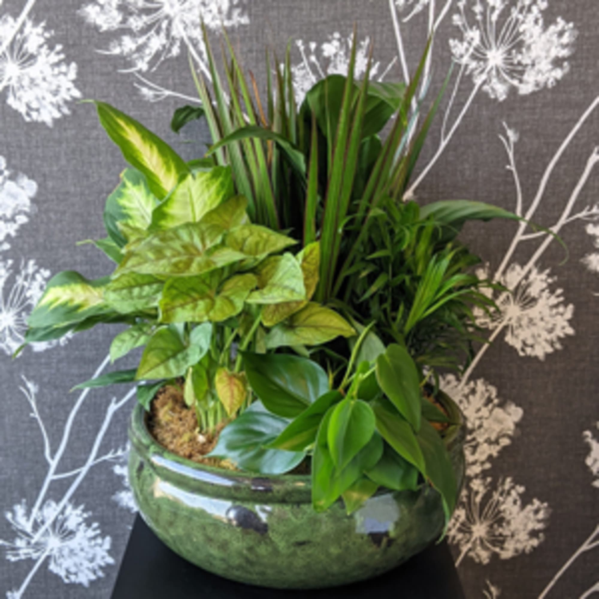 This ceramic container is brimming with an assortment of live, growing plants, photo 2 of 7