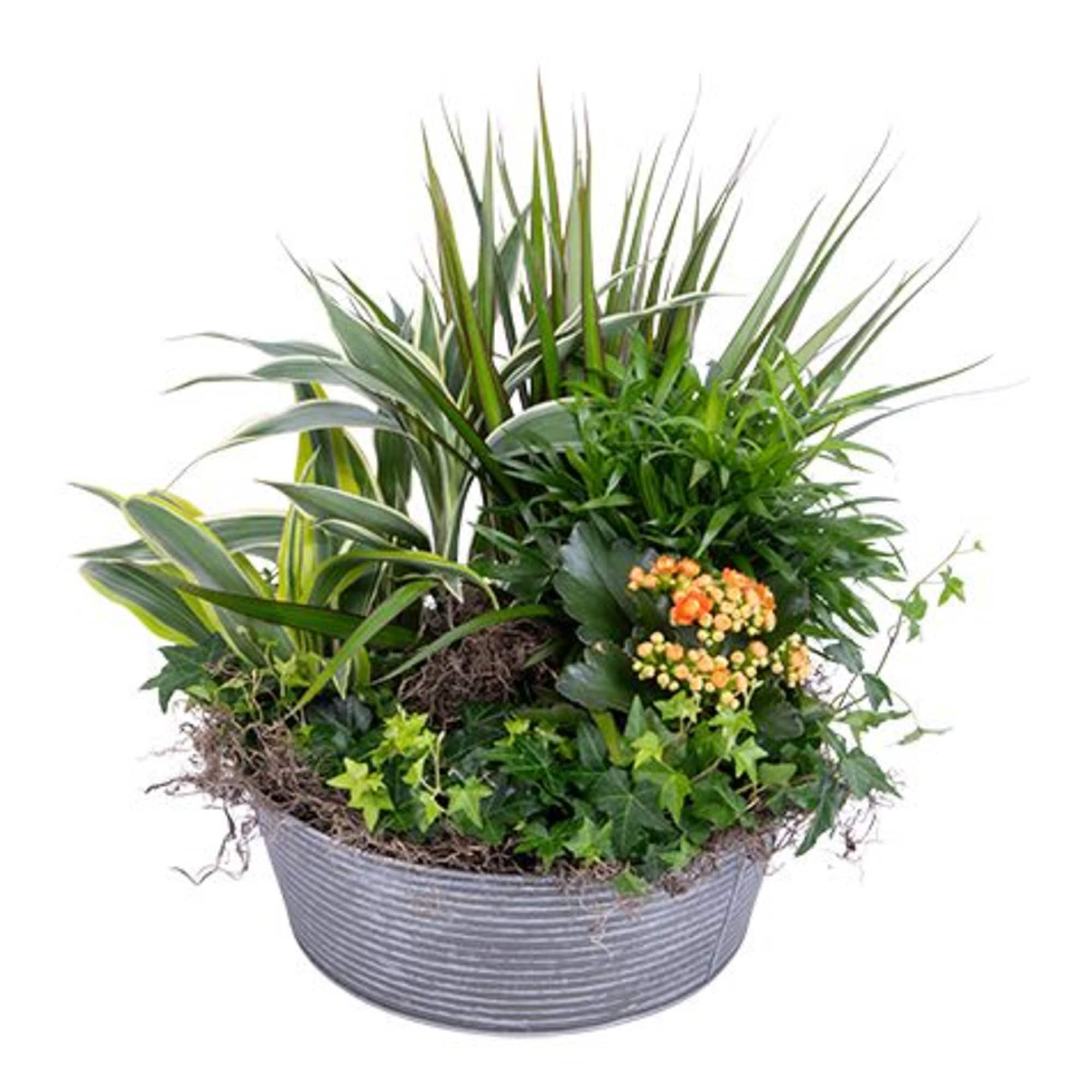 Mixed potted plants in a gray ribbed container with small orange flowers