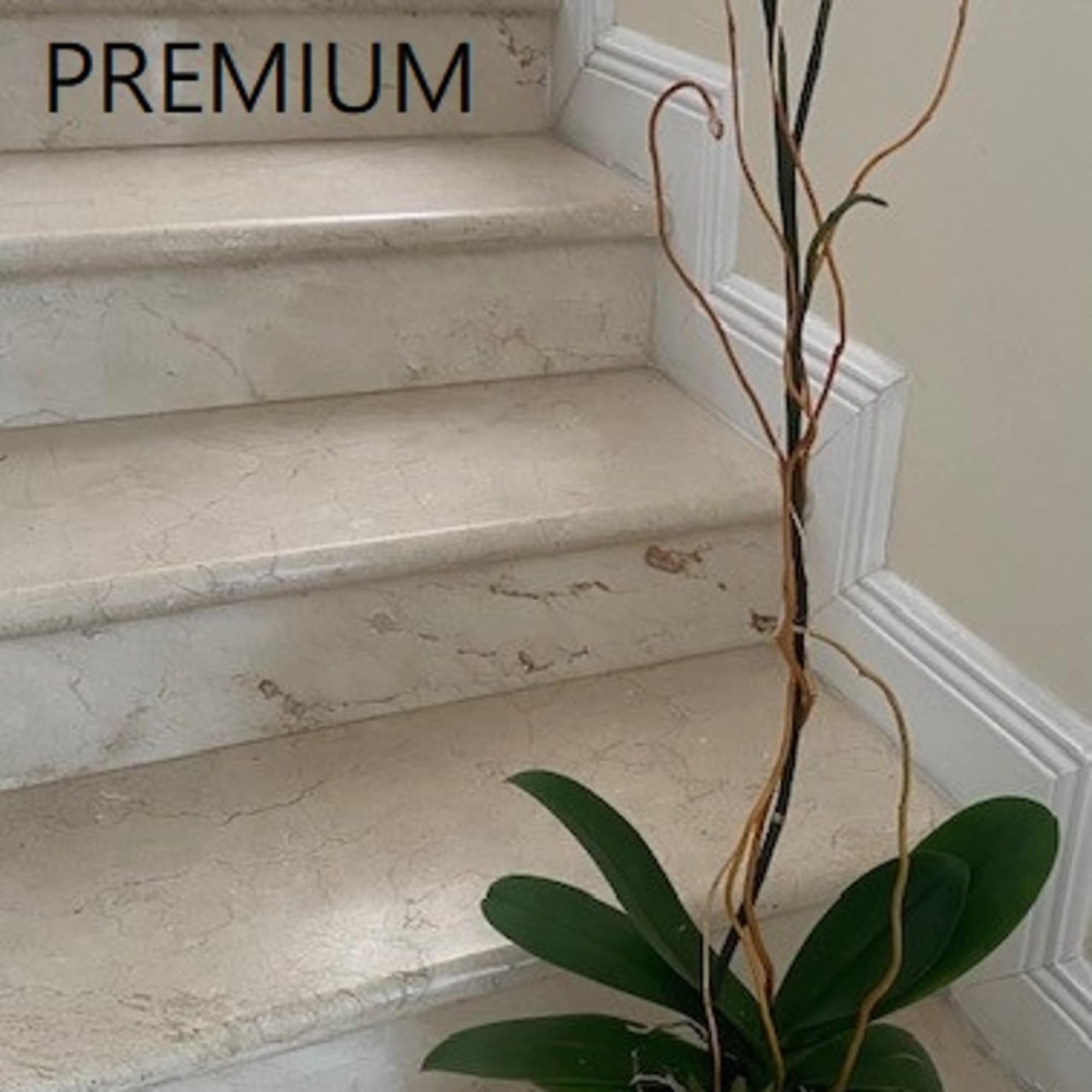 Tall white orchid plant with succulents in a square white pot on stone stairs.