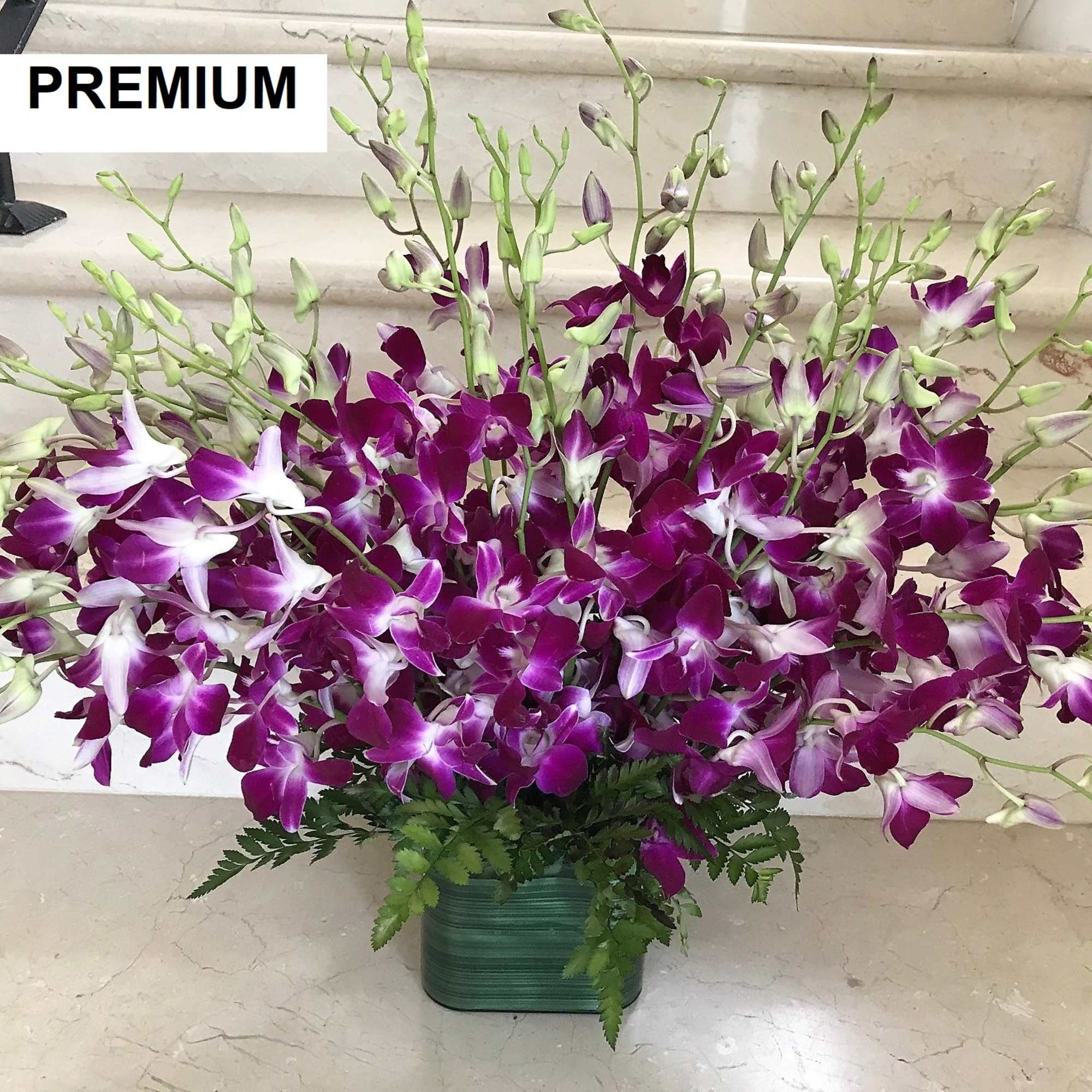 Large arrangement of purple and white orchids in a green rectangular vase